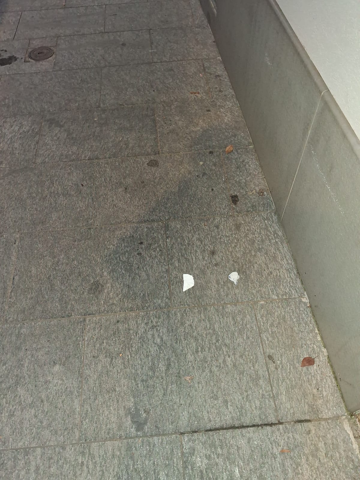 Immagine della segnalazione