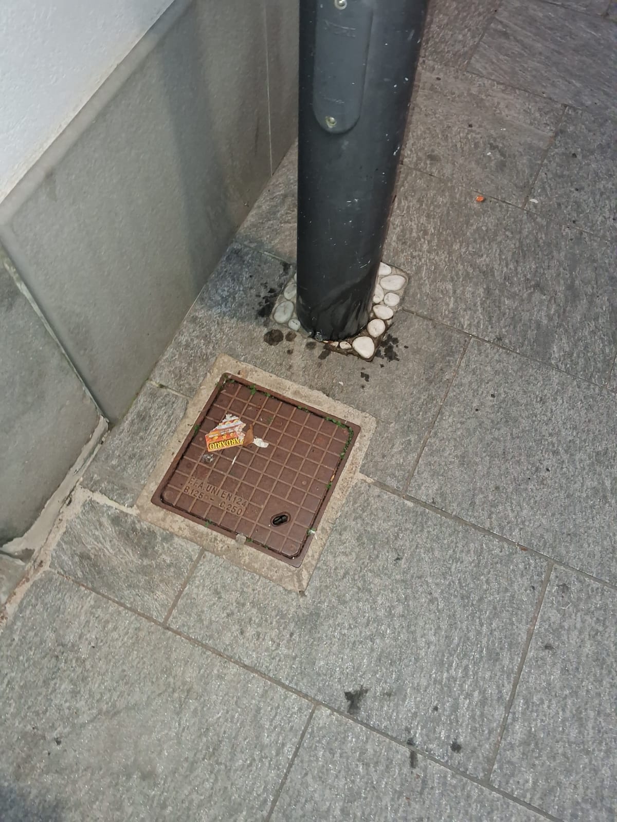 Immagine della segnalazione