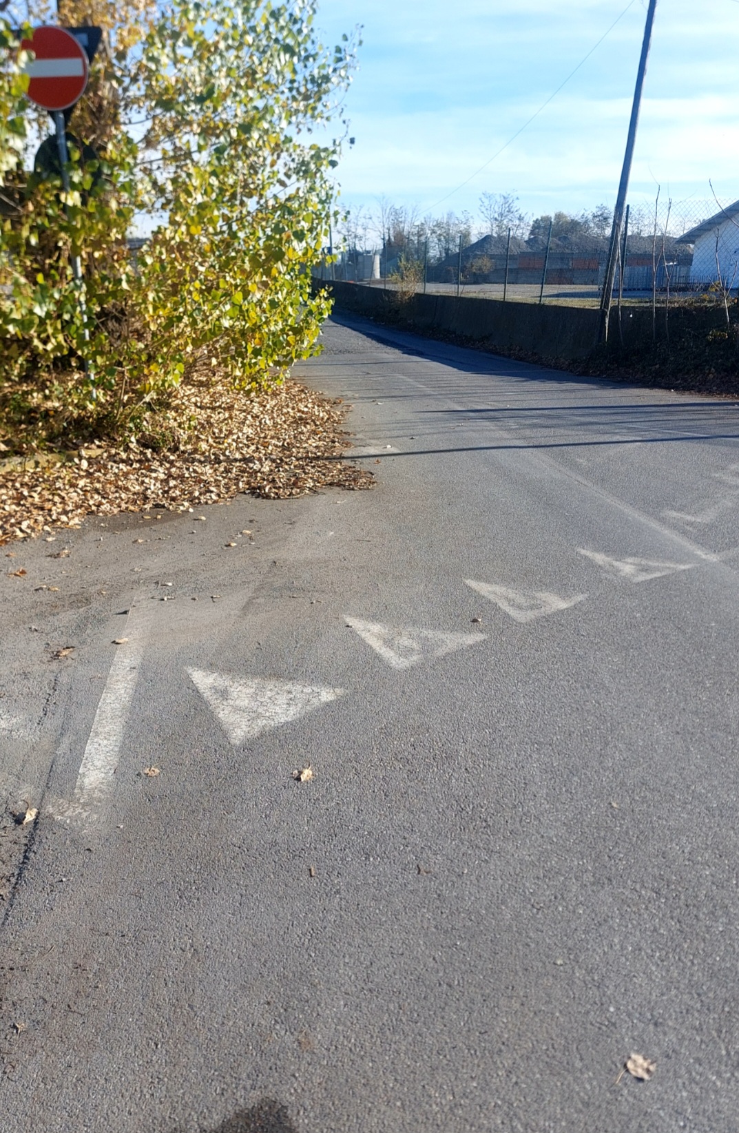 Immagine della segnalazione