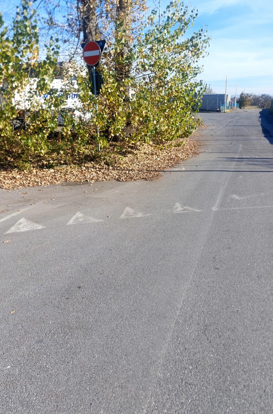 Immagine della segnalazione