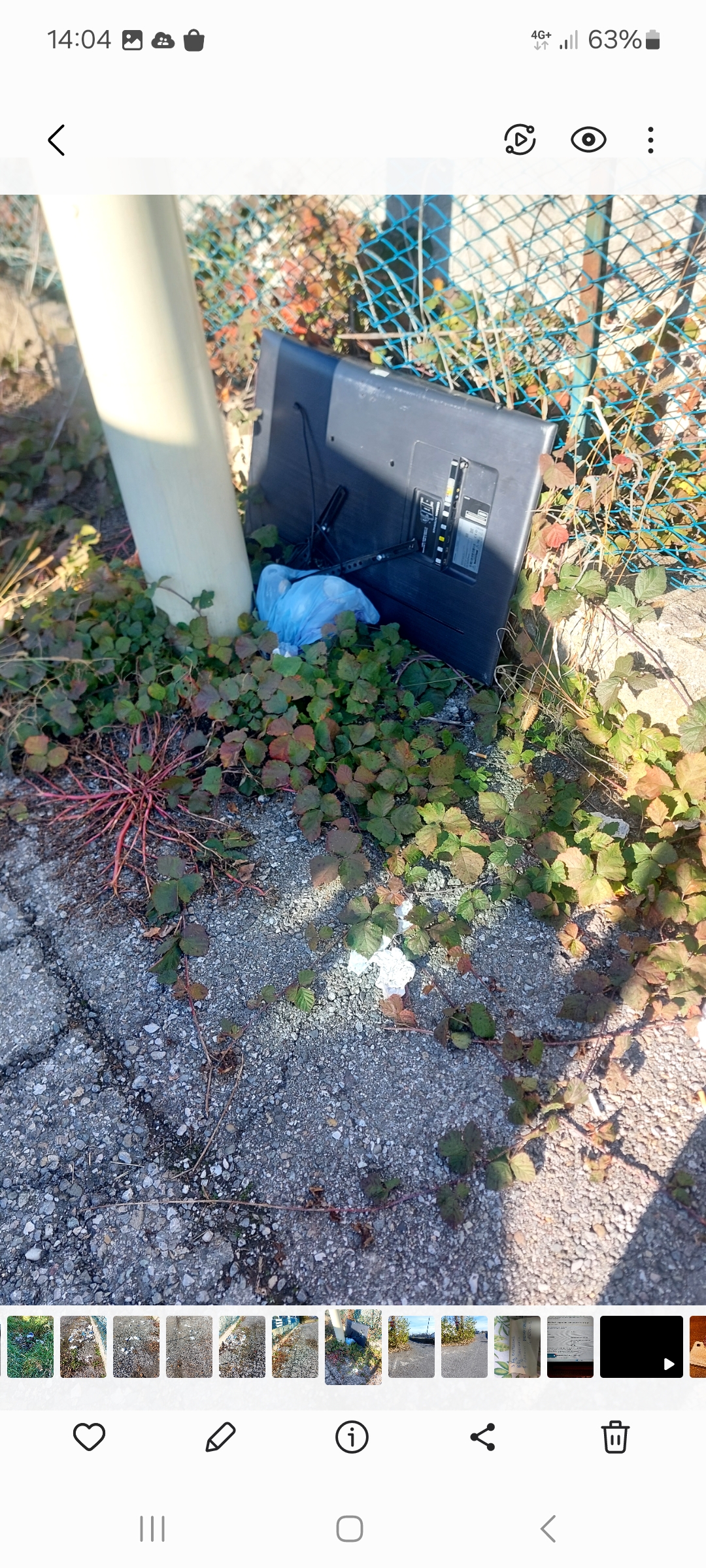 Immagine della segnalazione