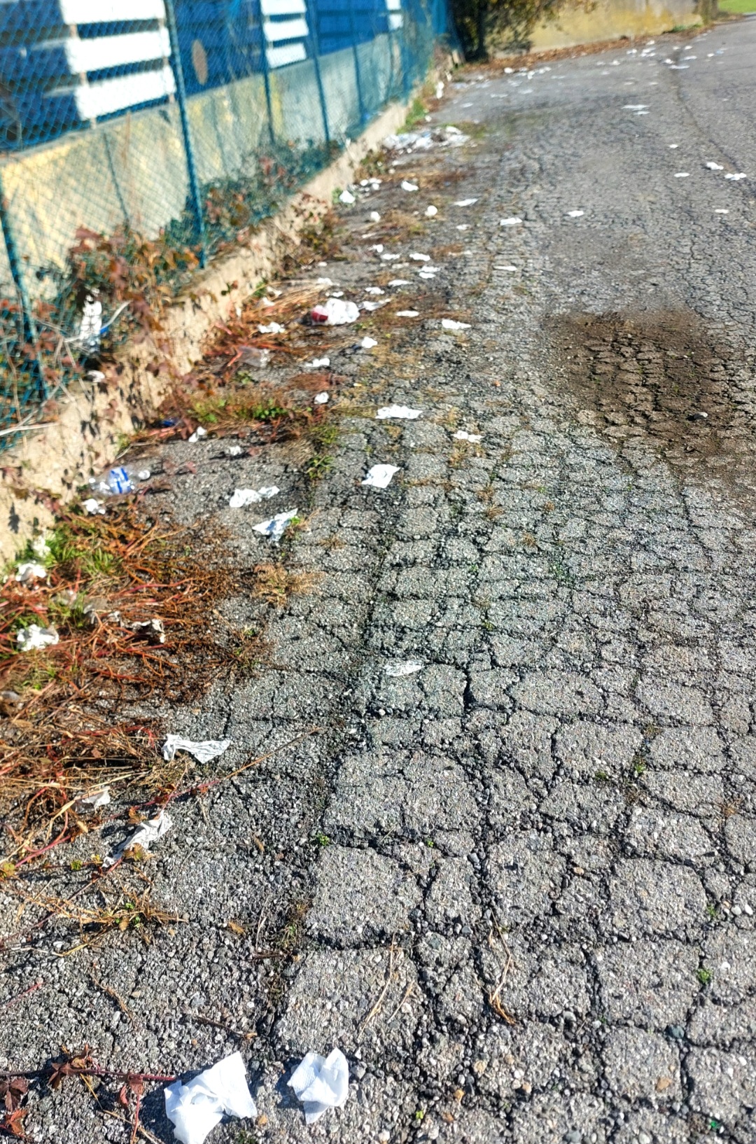 Immagine della segnalazione