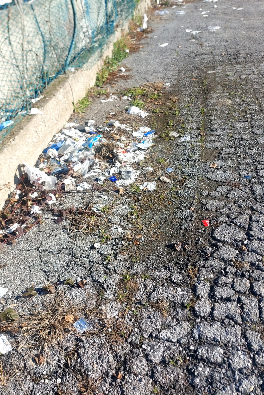 Immagine della segnalazione