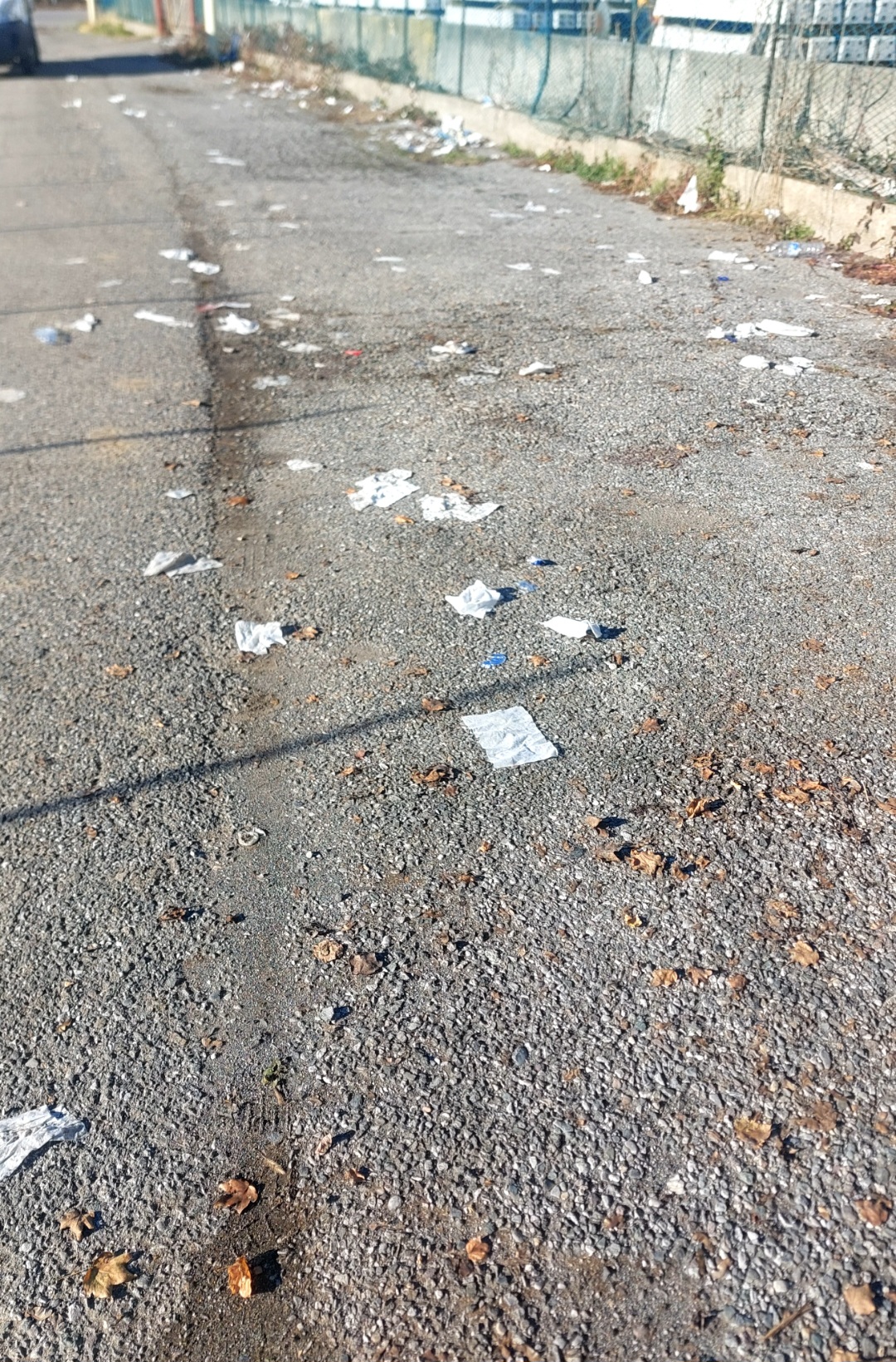 Immagine della segnalazione