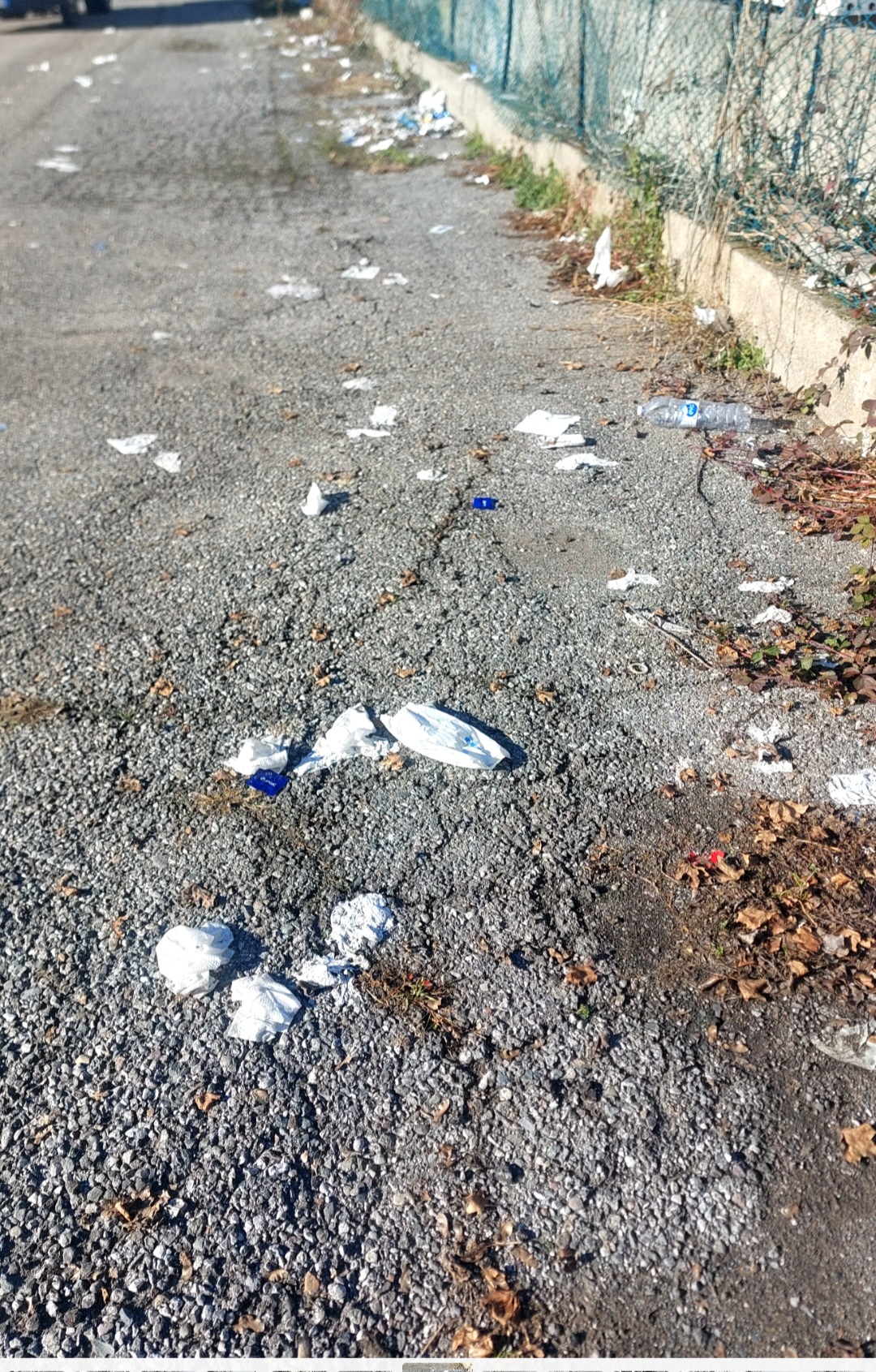 Immagine della segnalazione