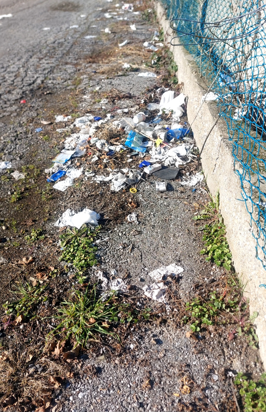 Immagine della segnalazione