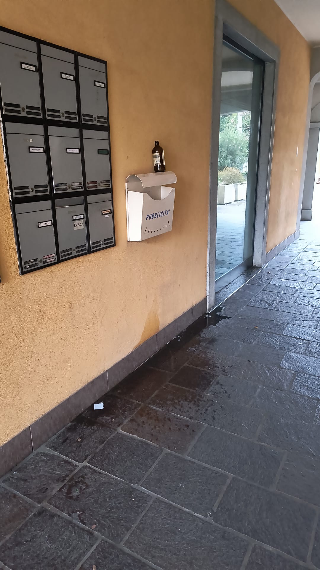 Immagine della segnalazione