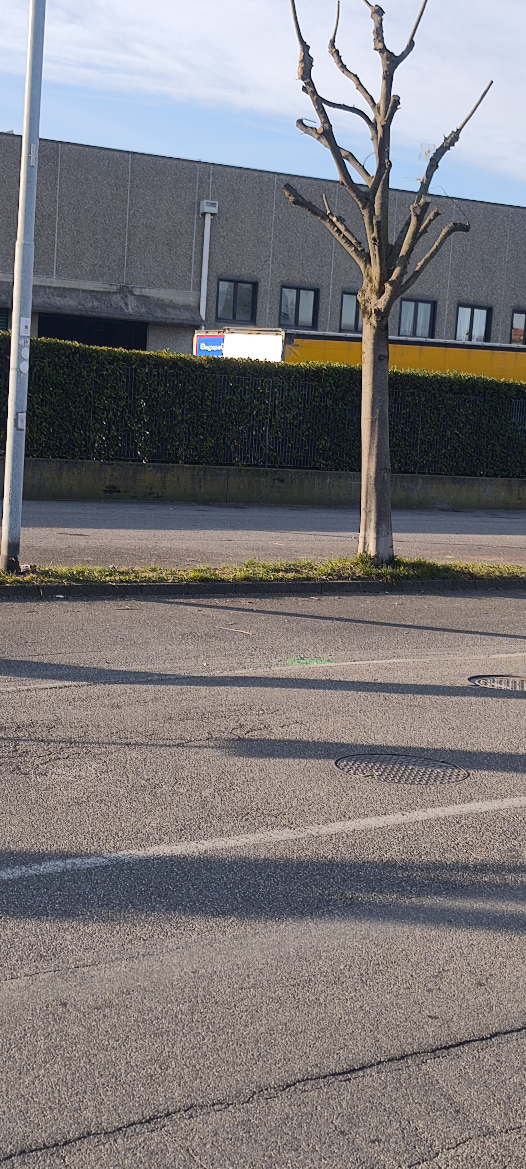 Immagine della segnalazione