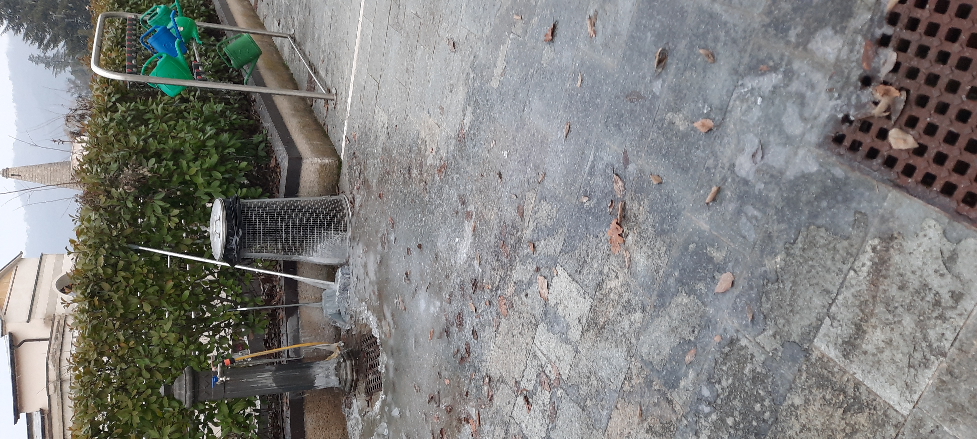 Immagine della segnalazione