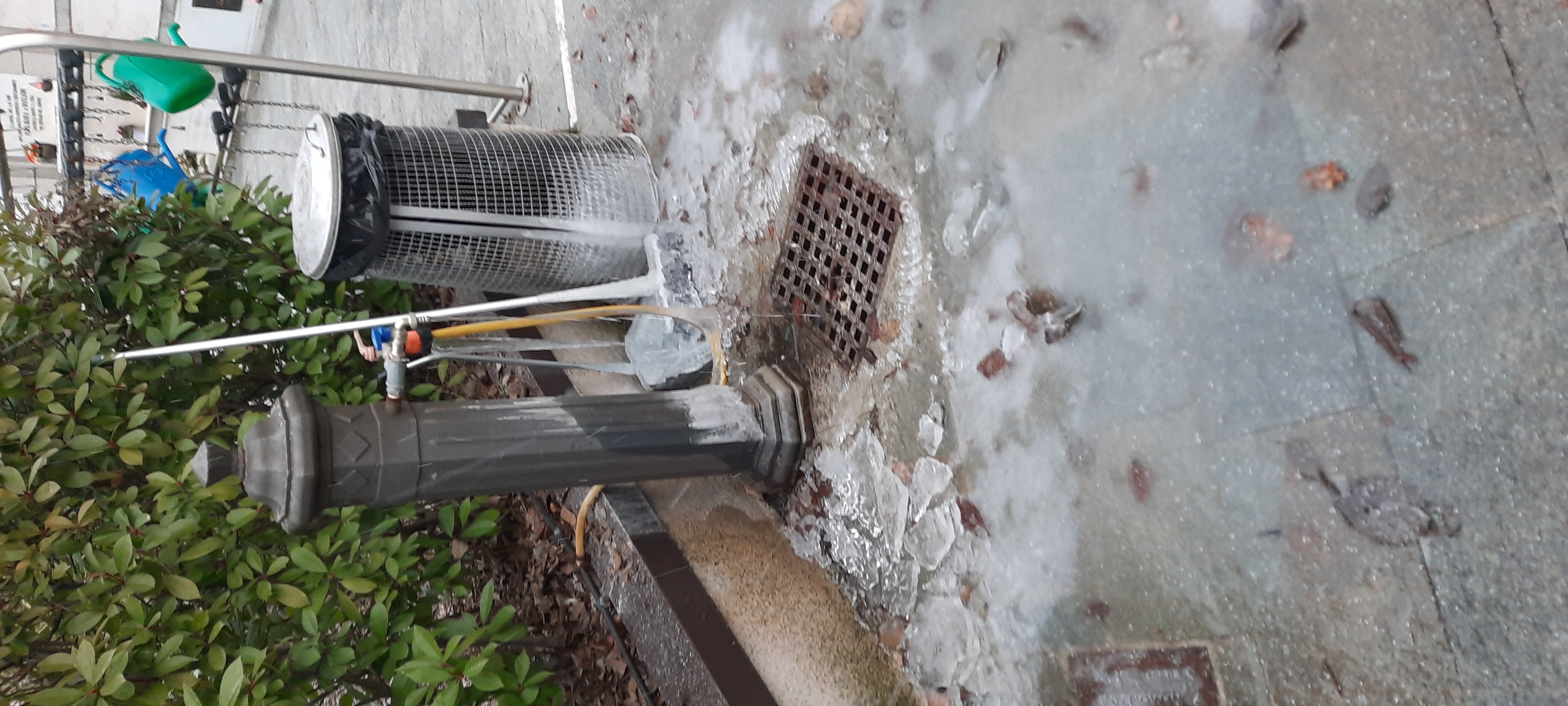 Immagine della segnalazione