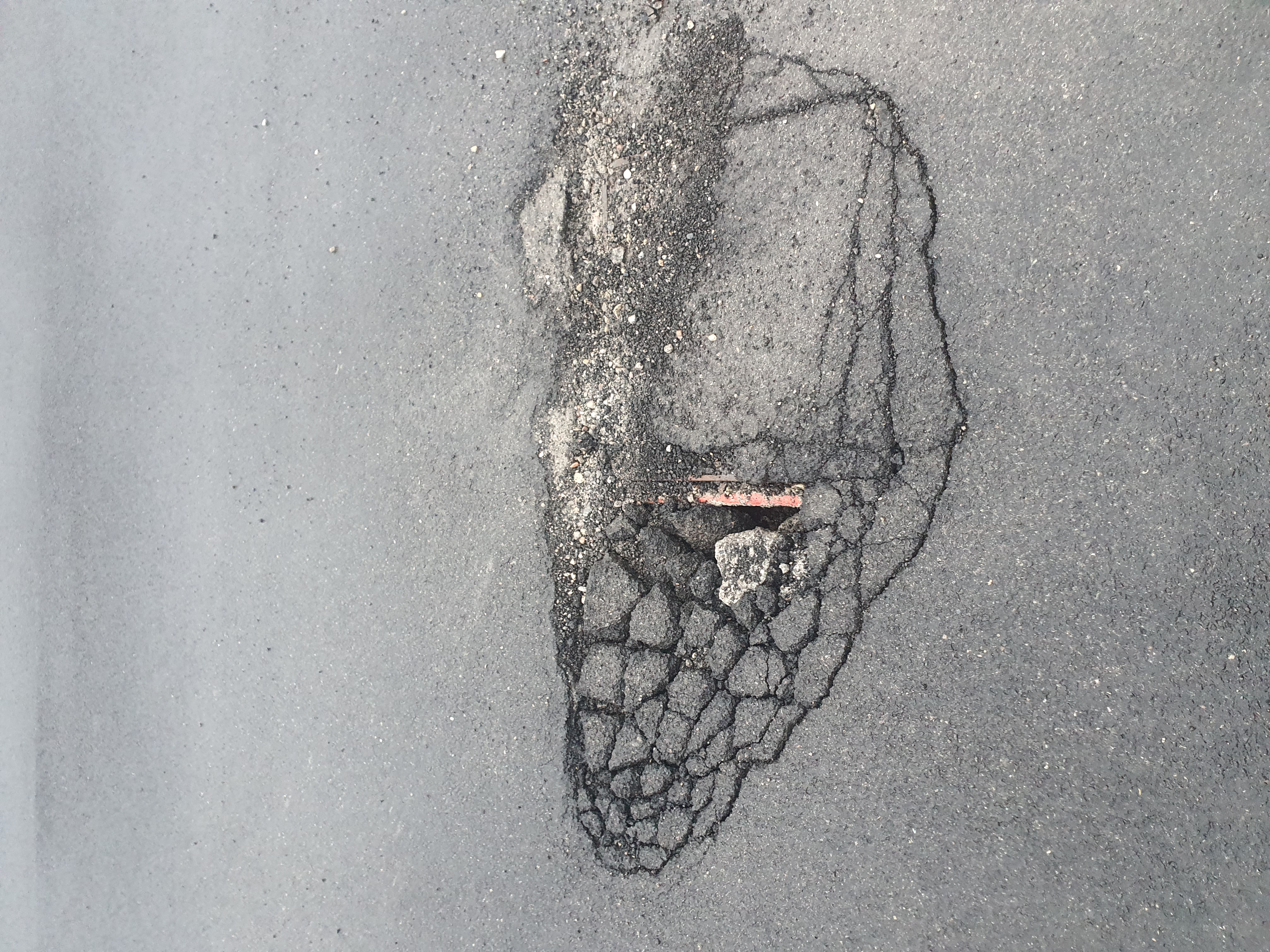 Immagine della segnalazione