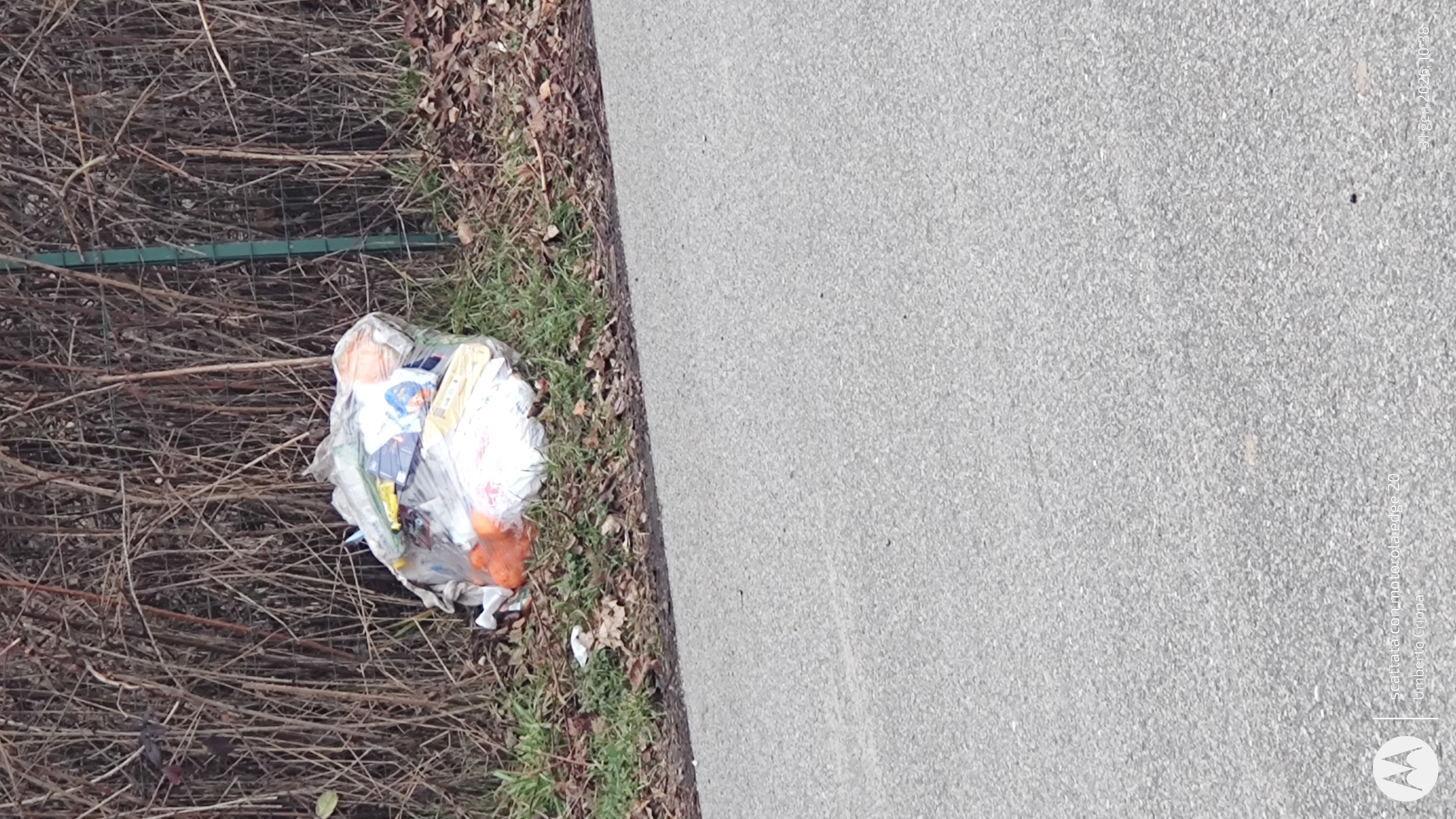 Immagine della segnalazione