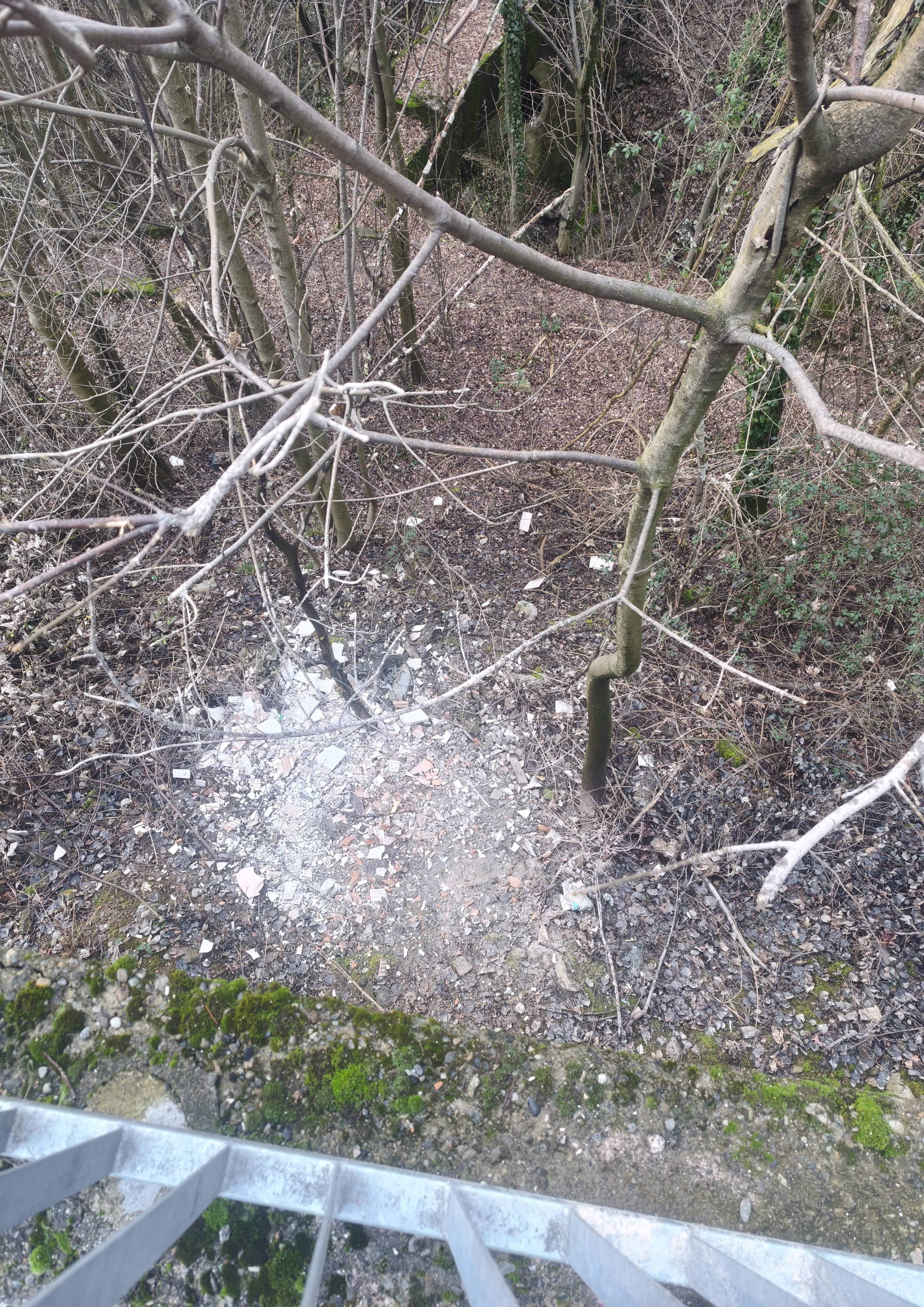 Immagine della segnalazione