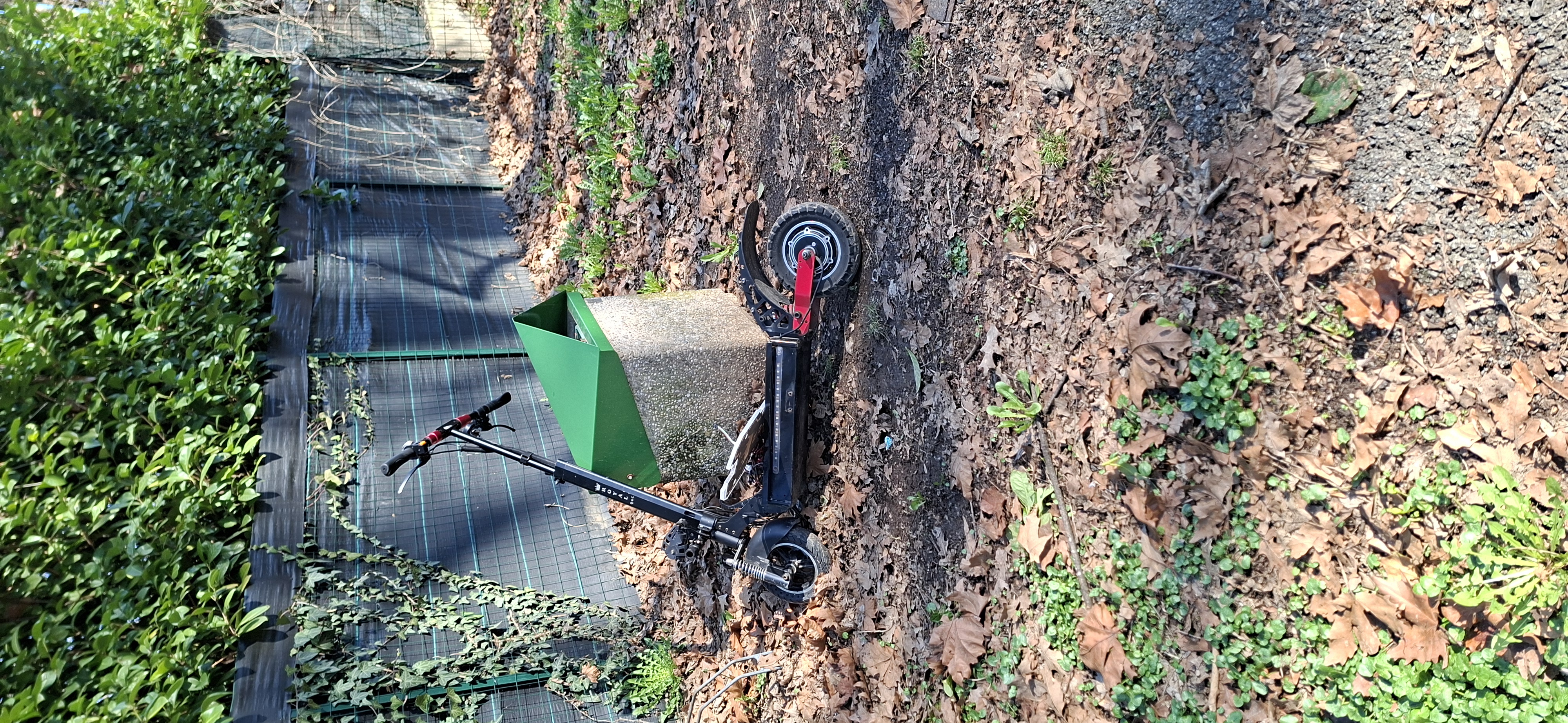 Immagine della segnalazione