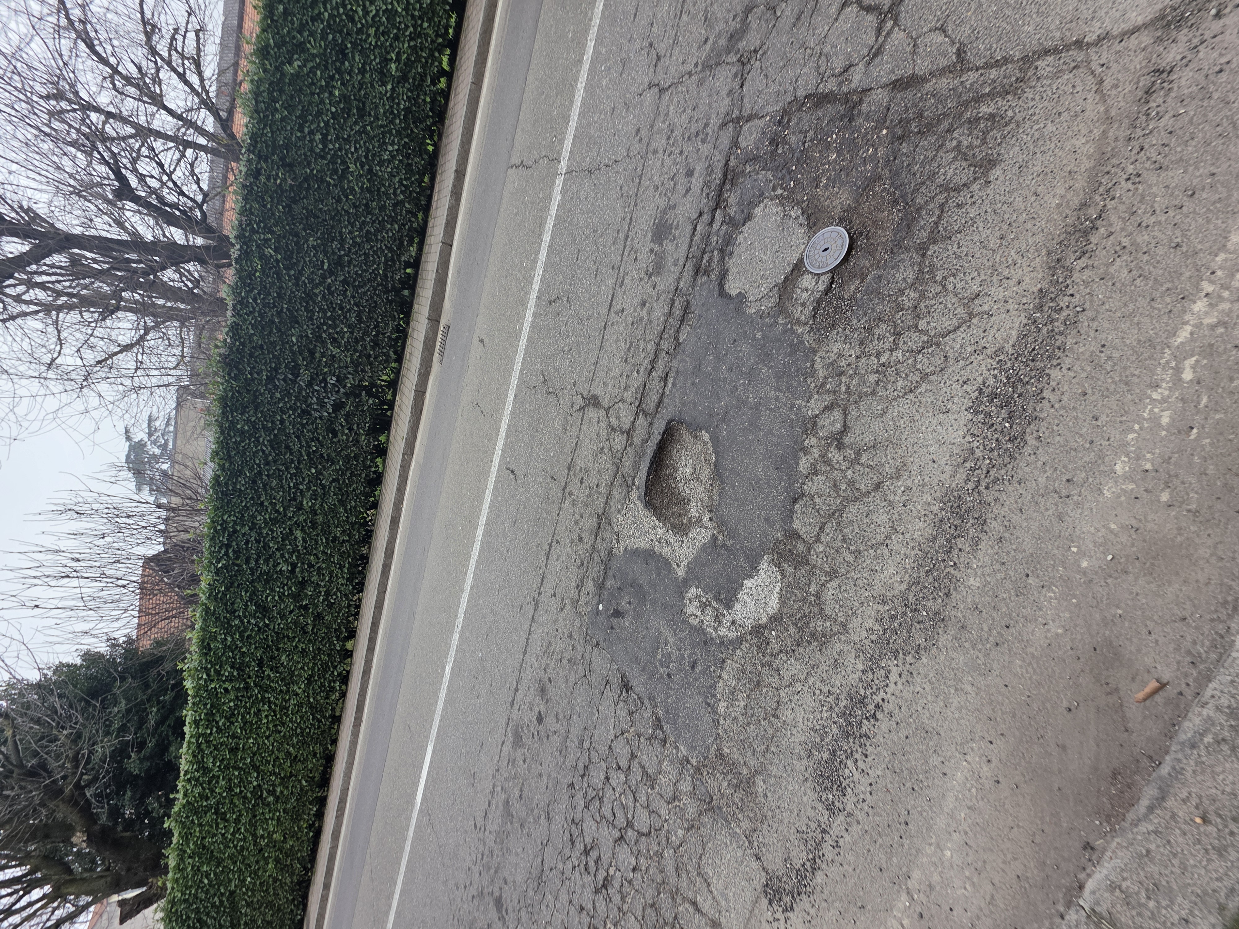 Immagine della segnalazione