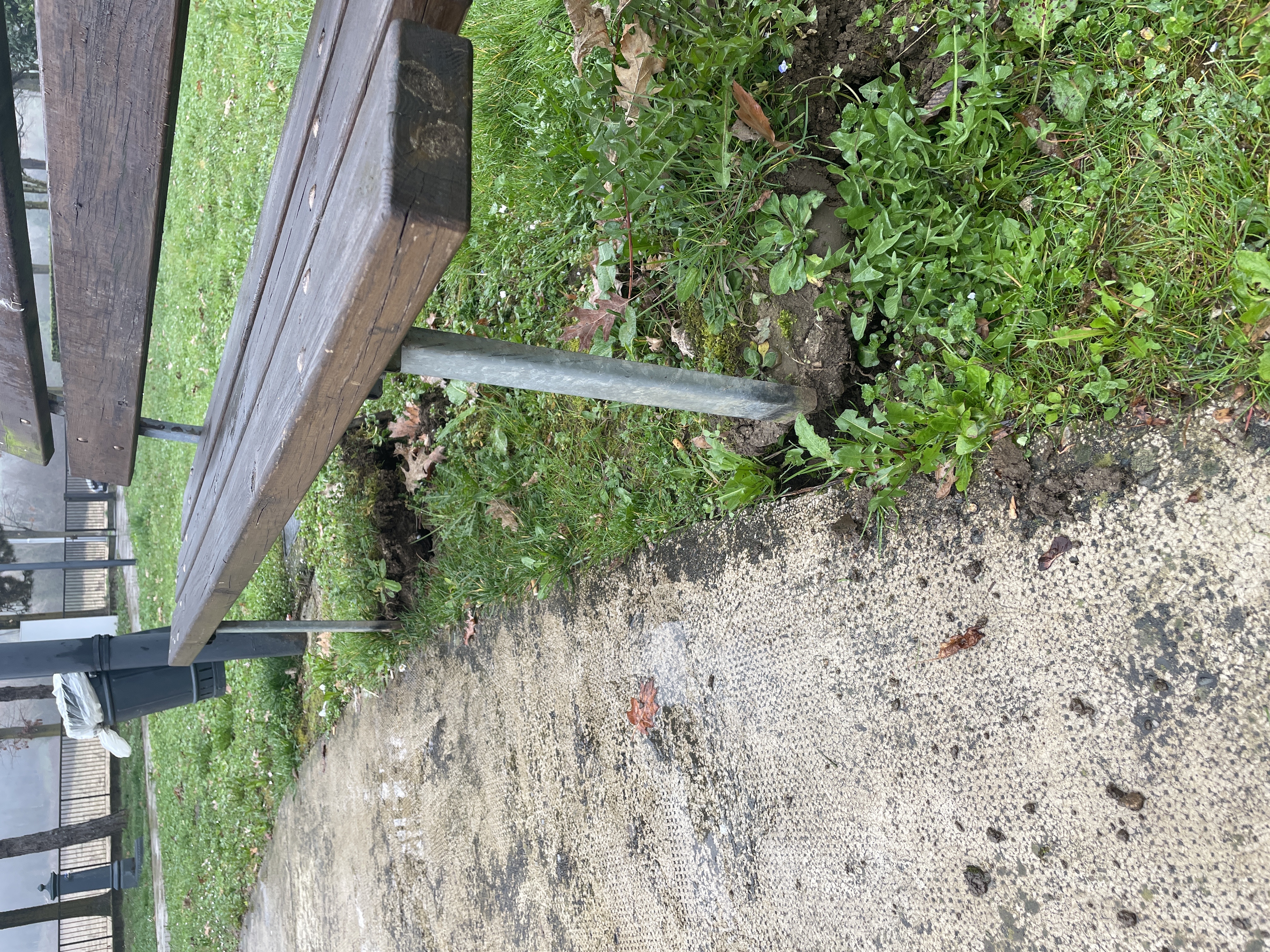 Immagine della segnalazione