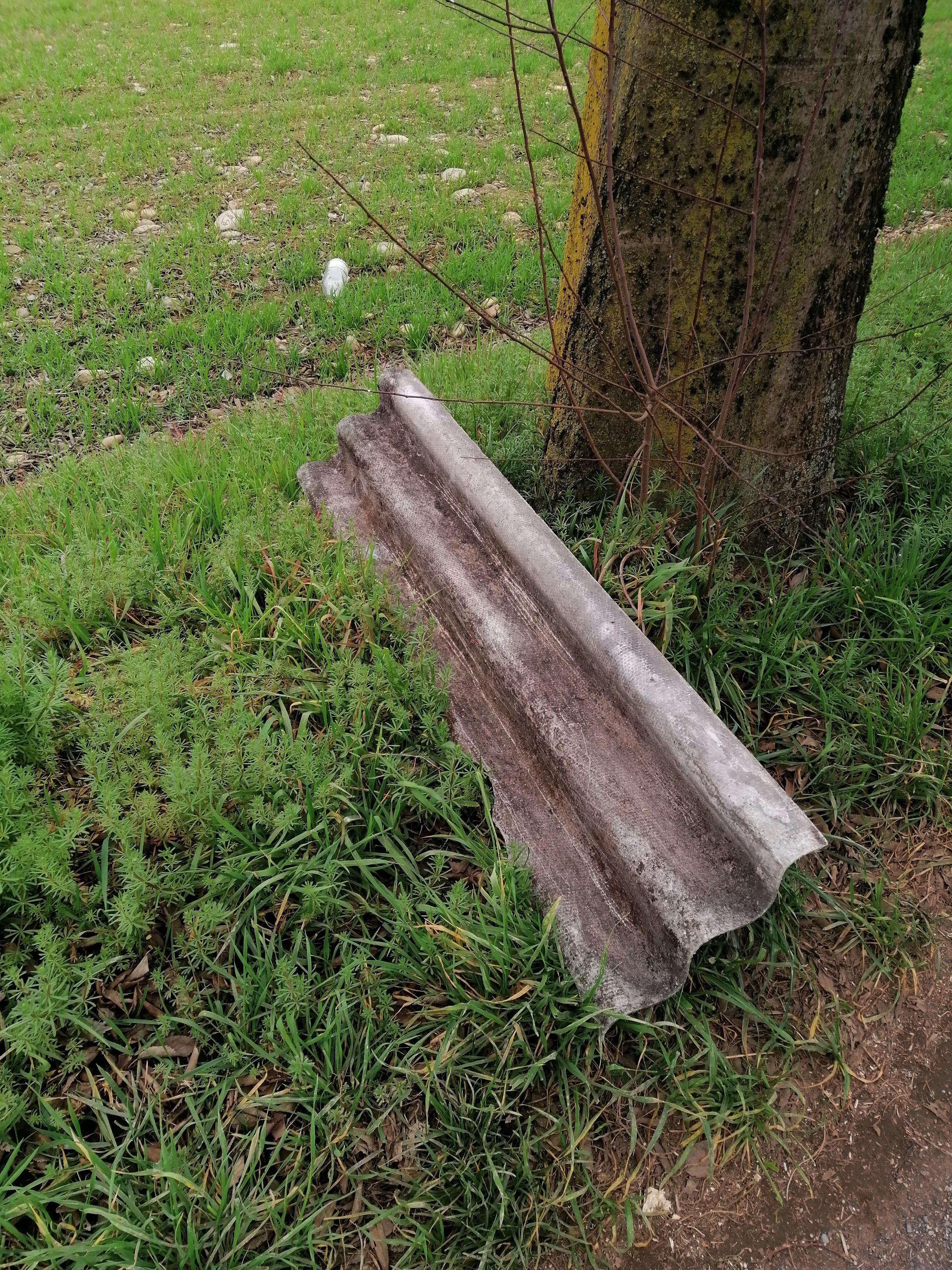 Immagine della segnalazione