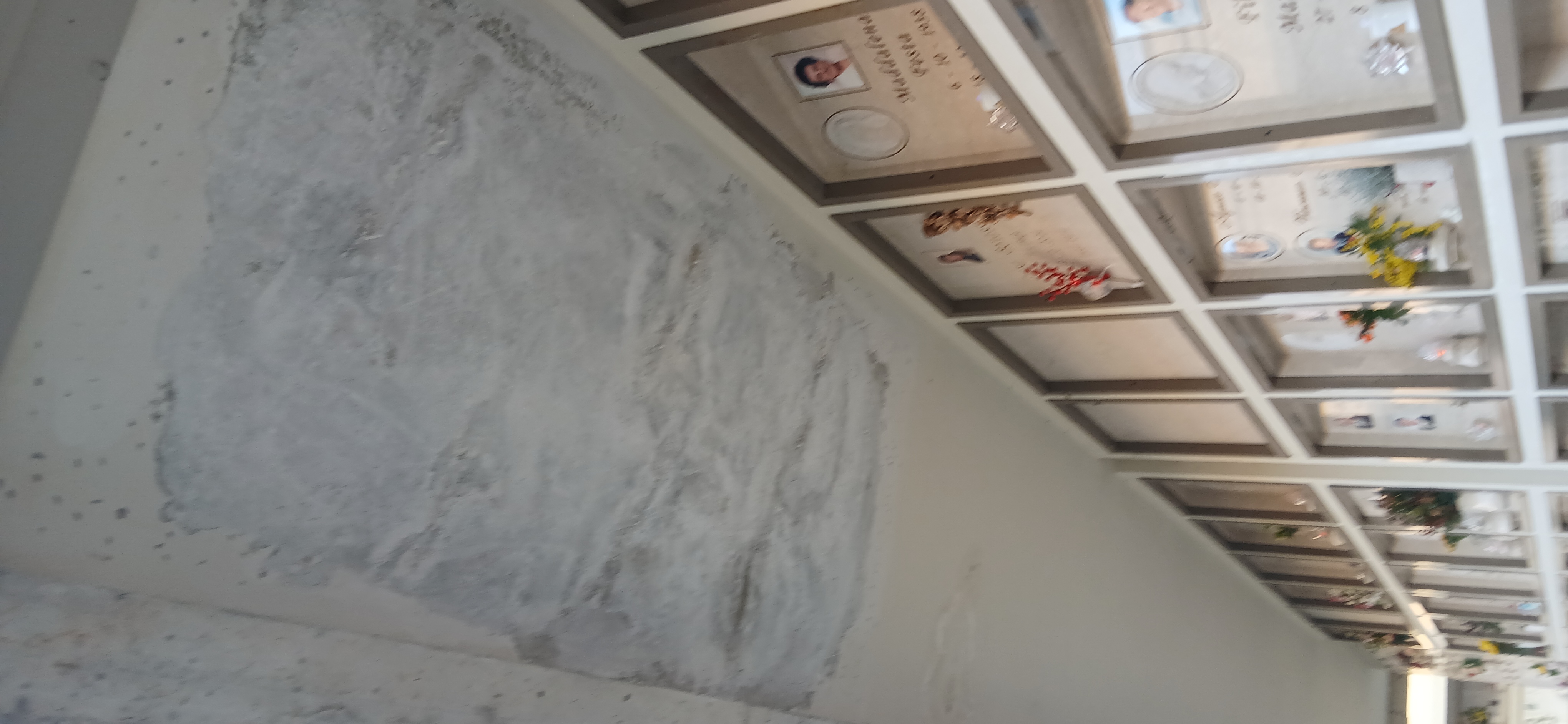 Immagine della segnalazione