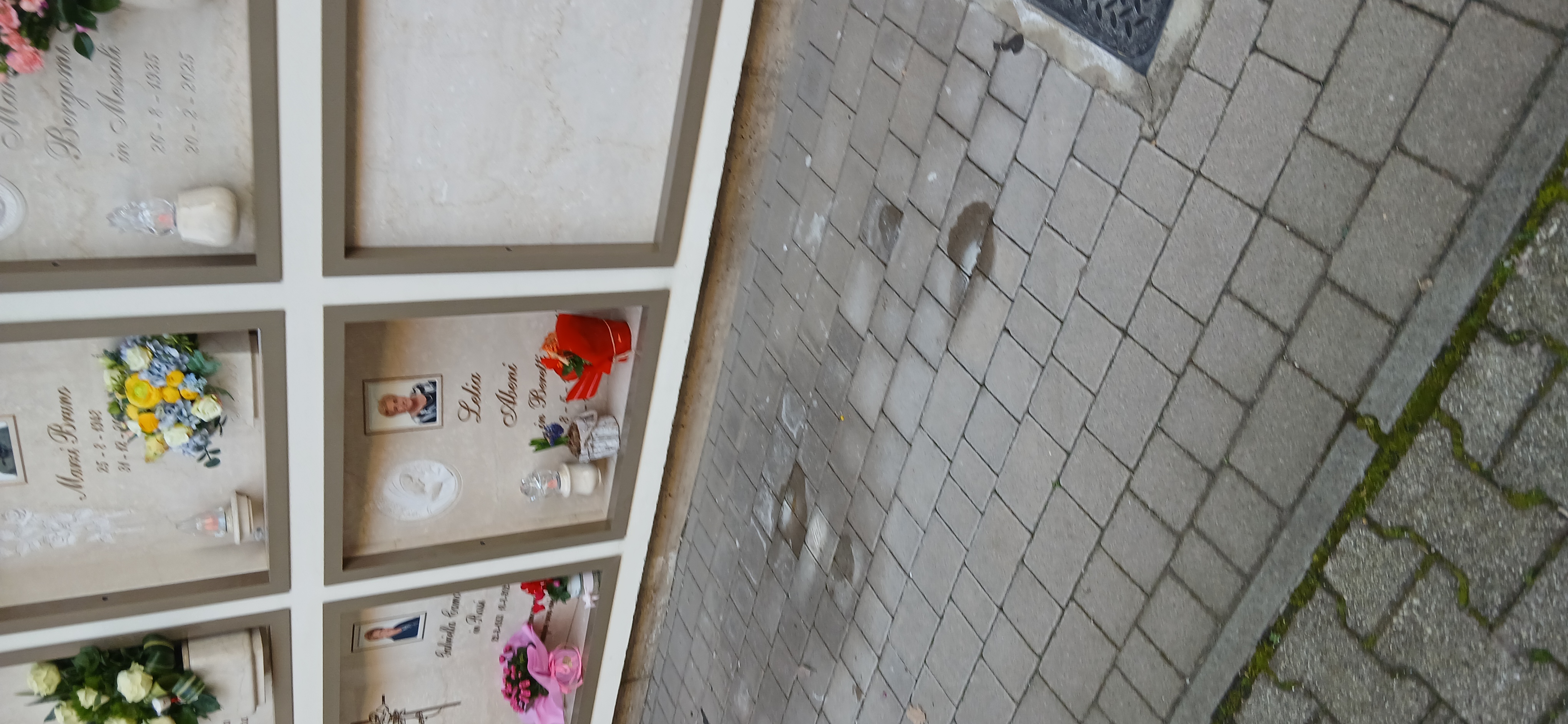 Immagine della segnalazione