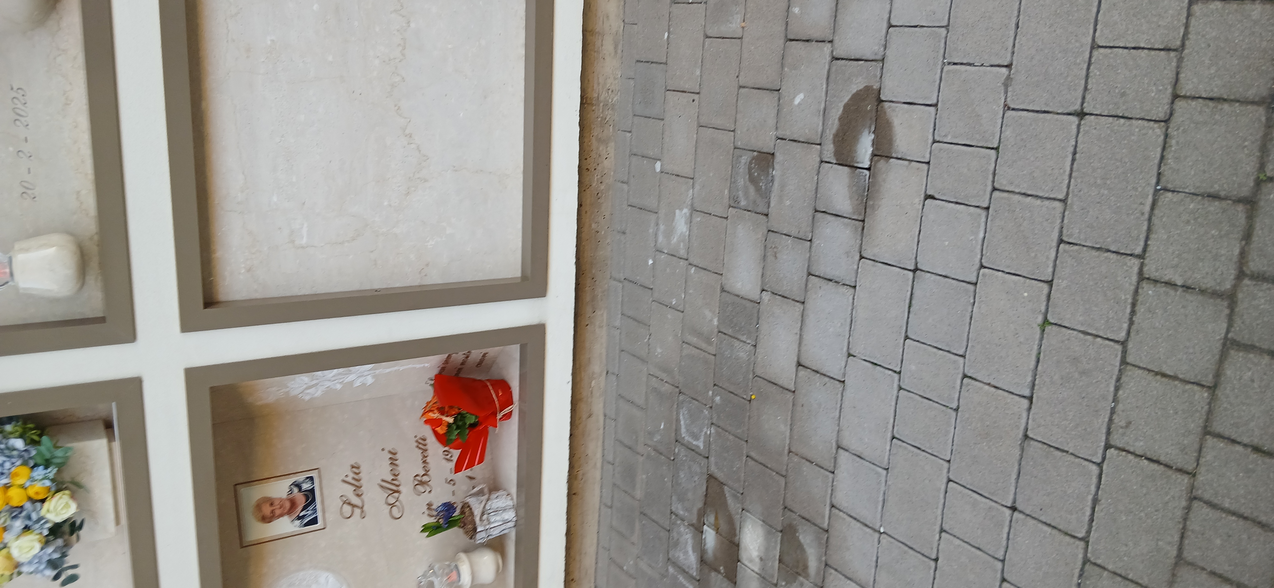 Immagine della segnalazione