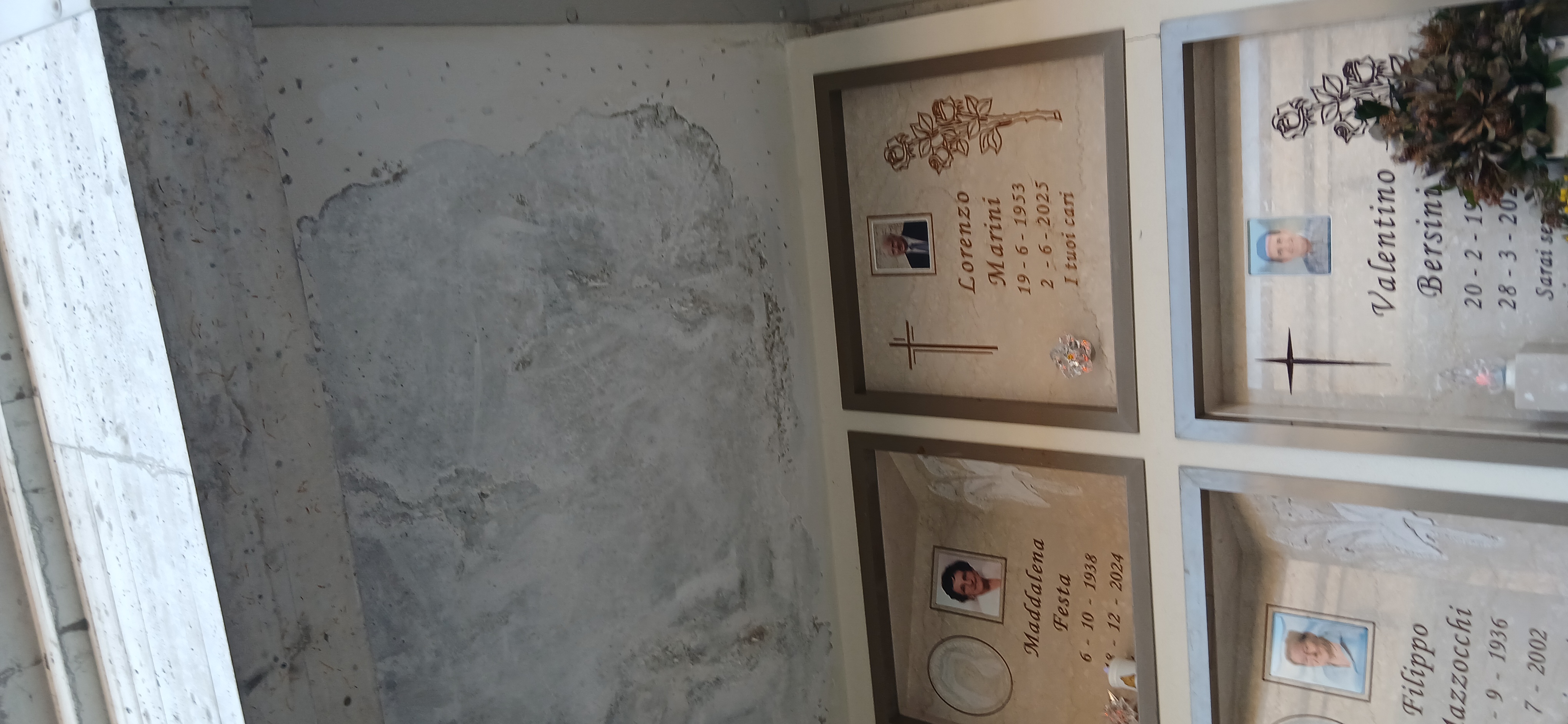 Immagine della segnalazione