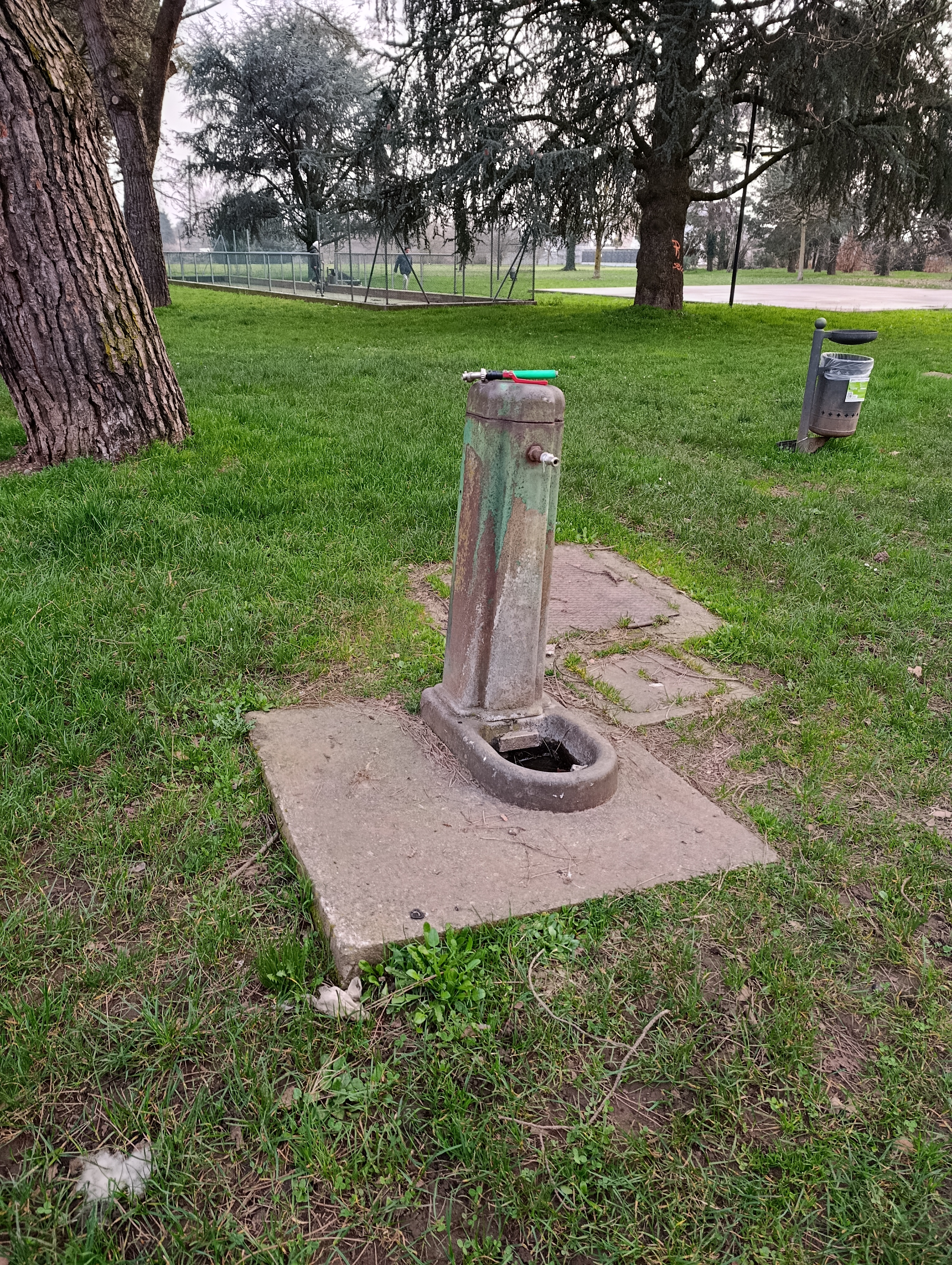 Immagine della segnalazione