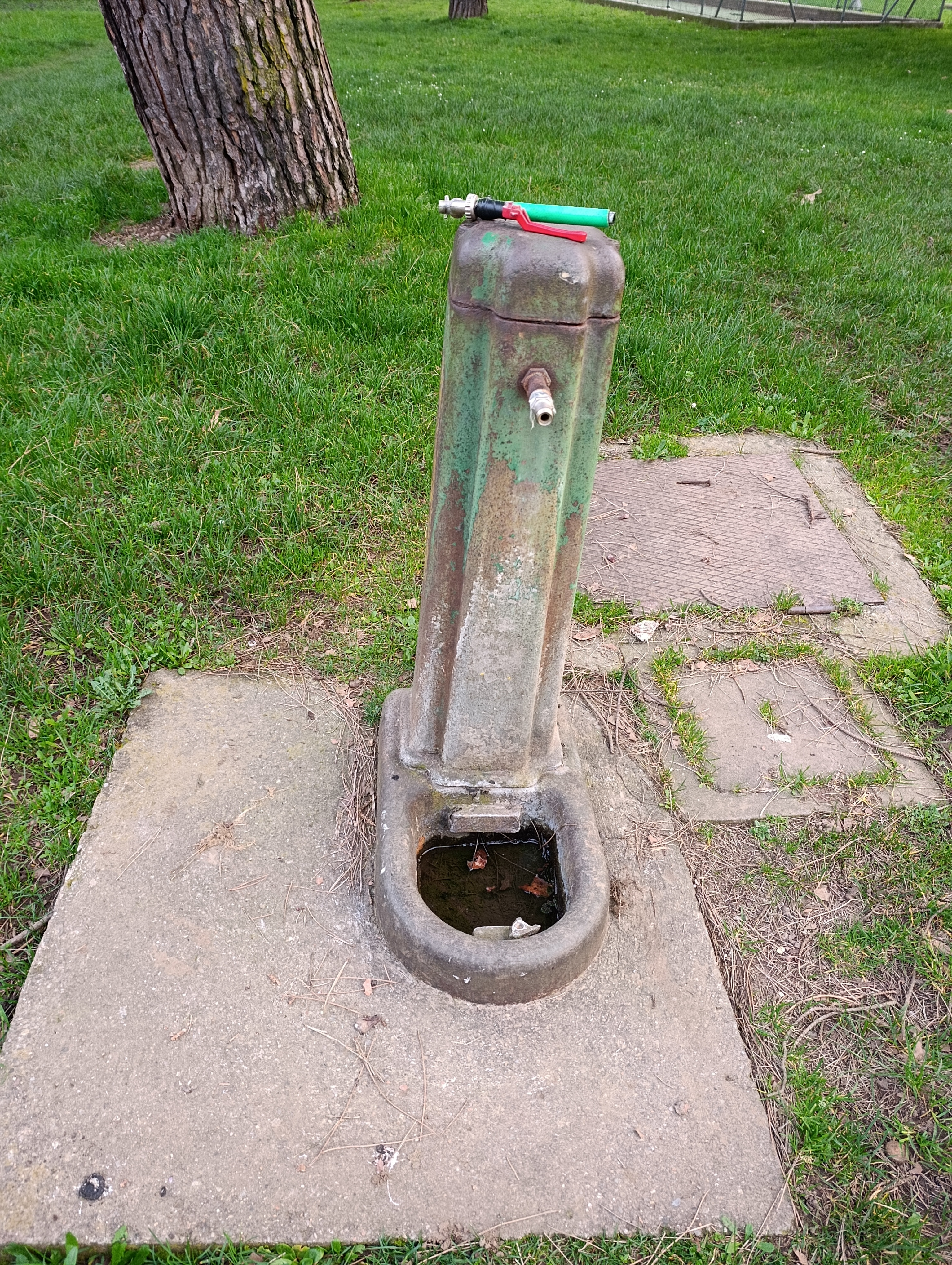 Immagine della segnalazione