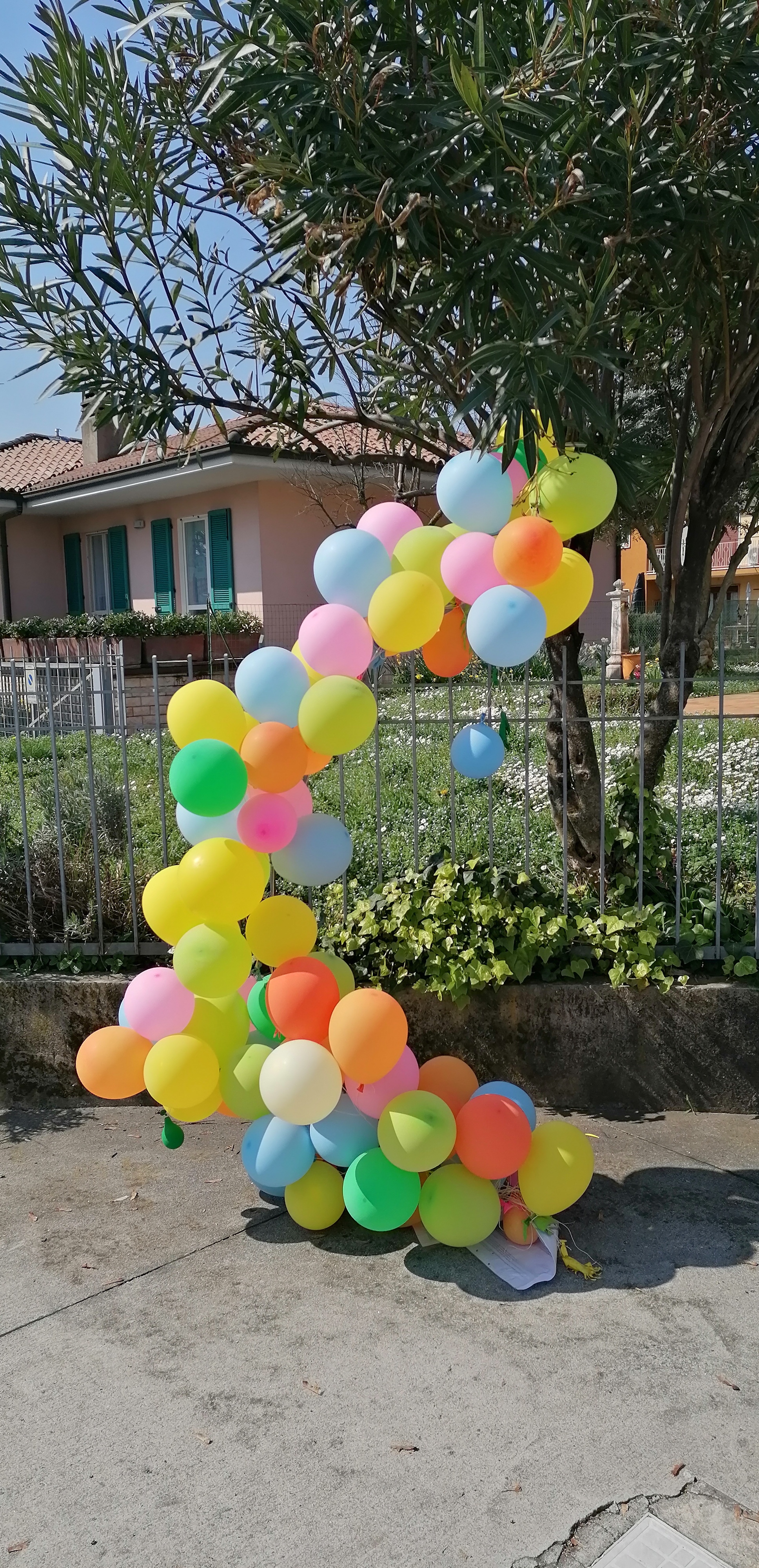 Immagine della segnalazione