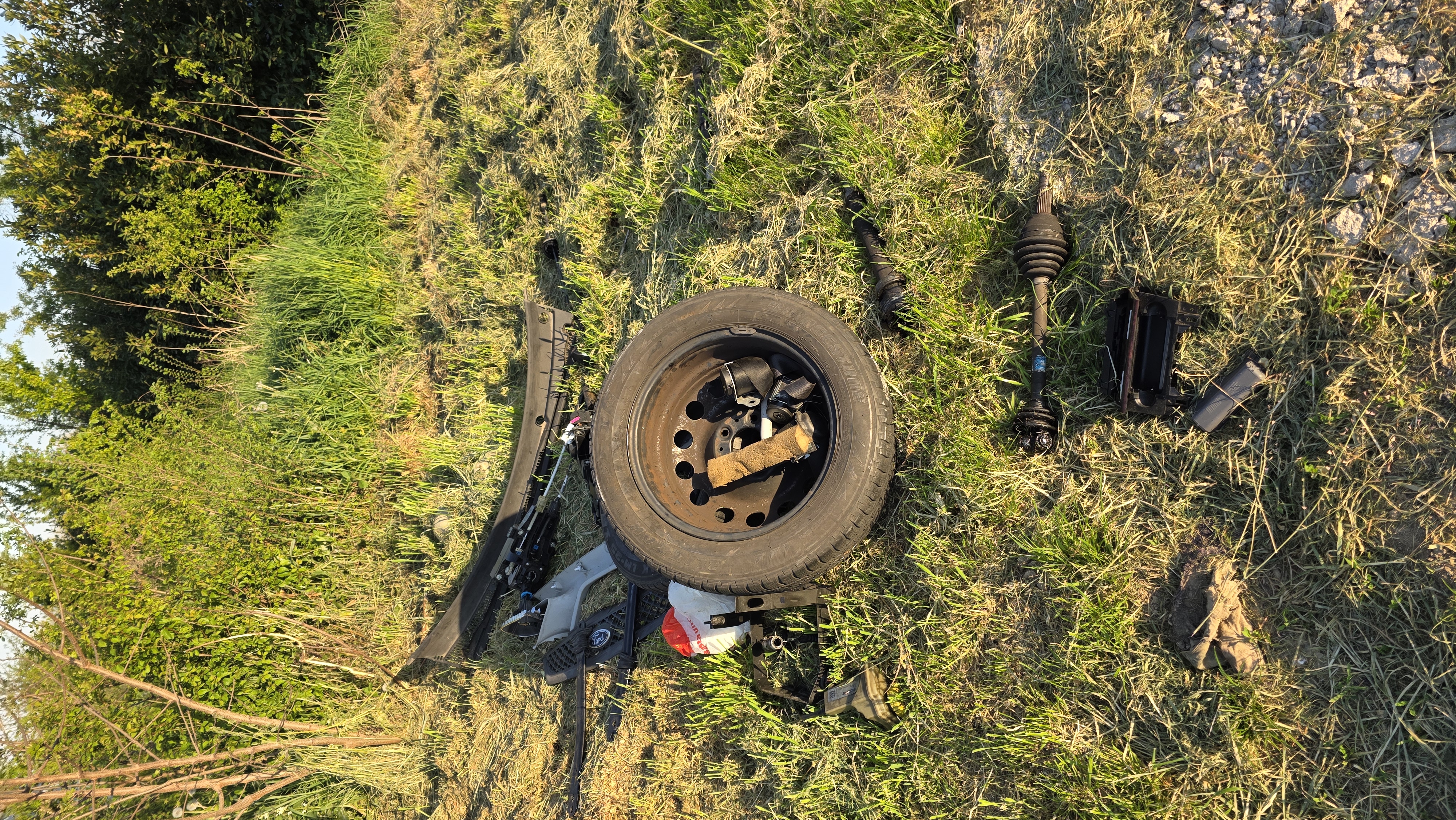 Immagine della segnalazione