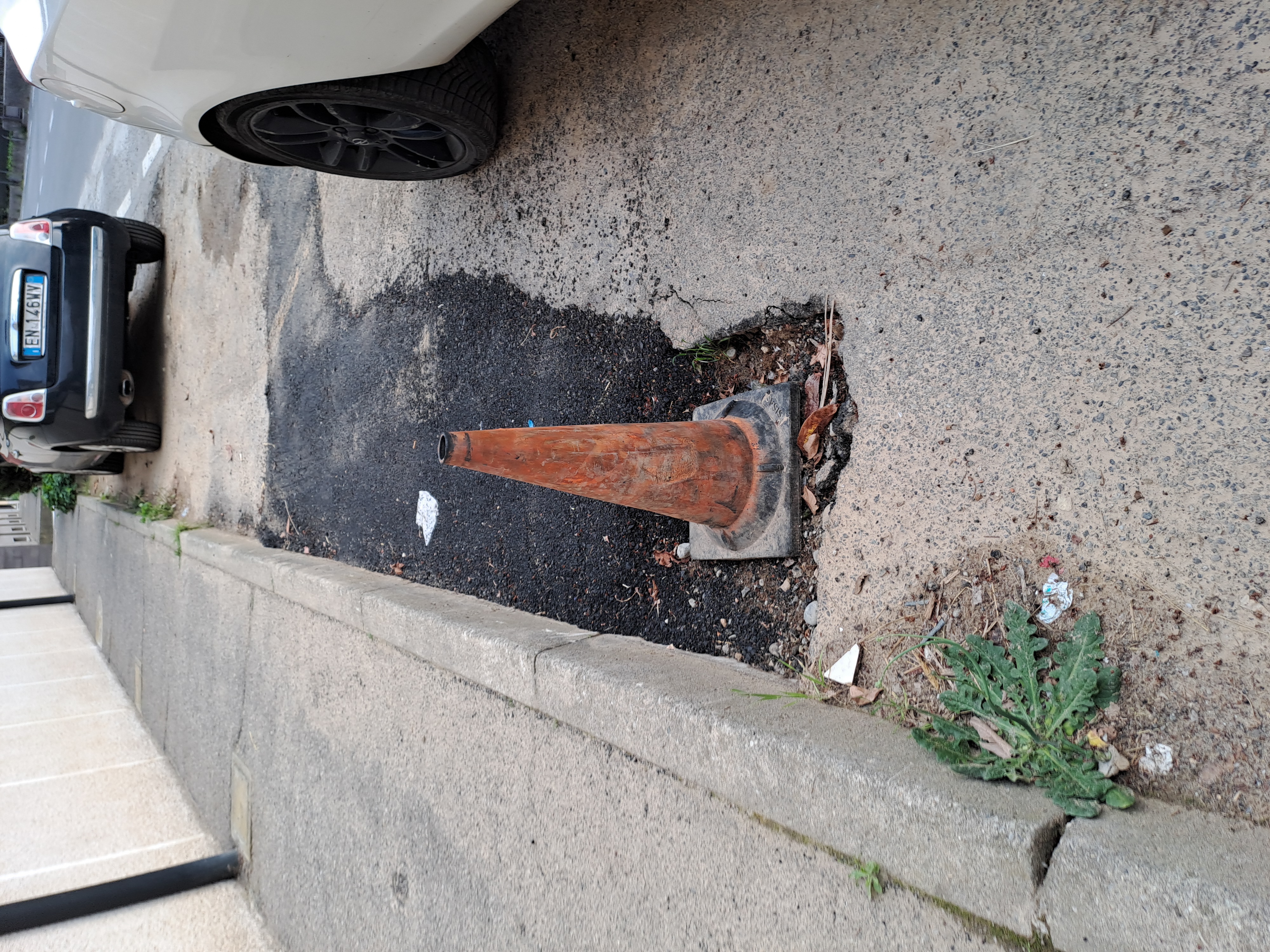 Immagine della segnalazione