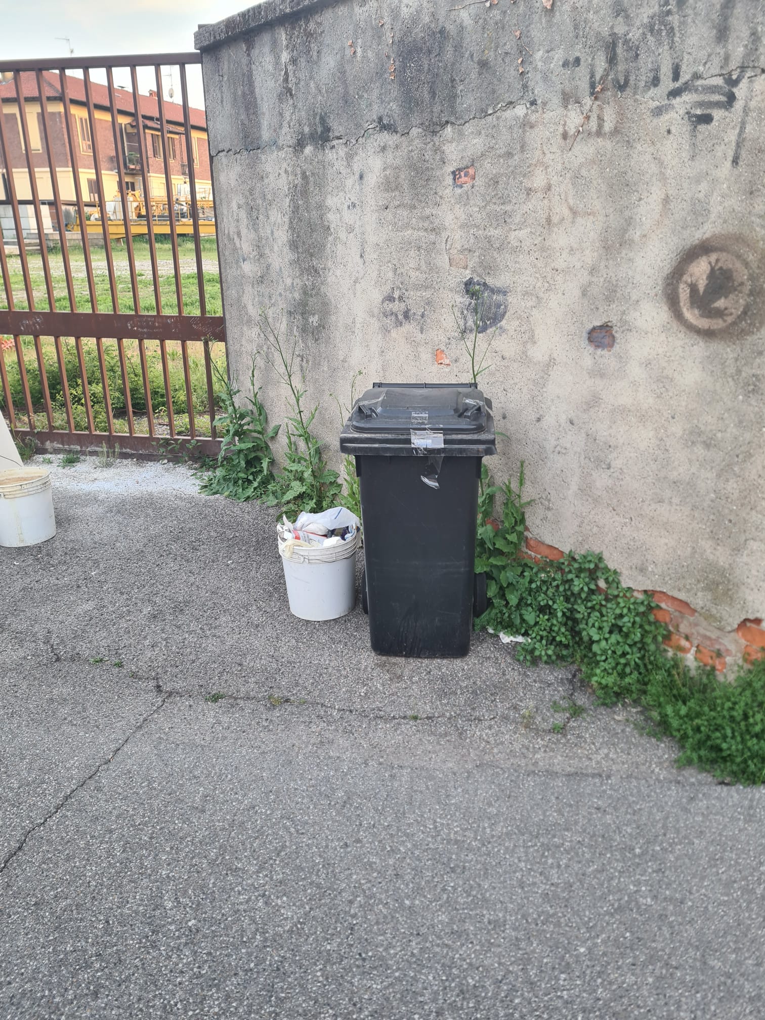 Immagine della segnalazione