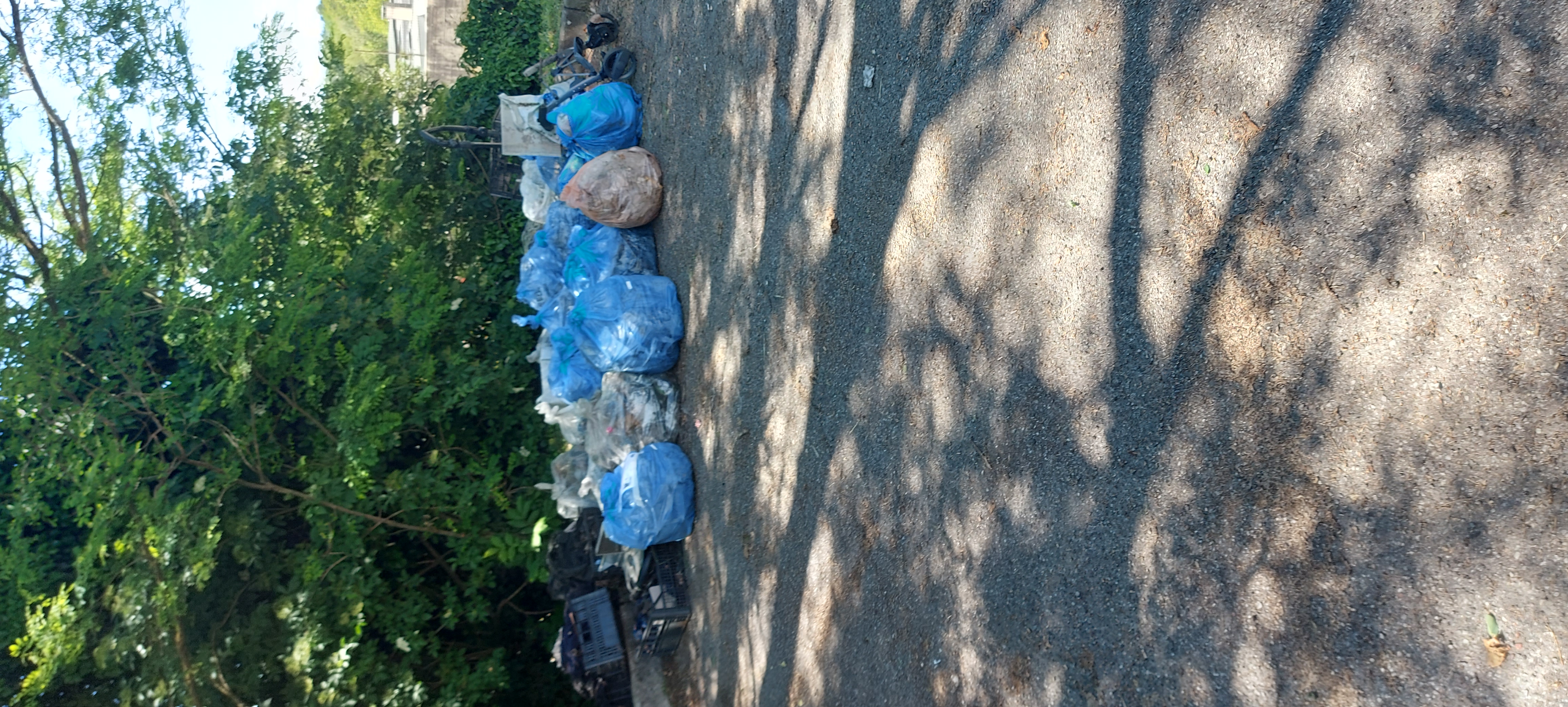 Immagine della segnalazione