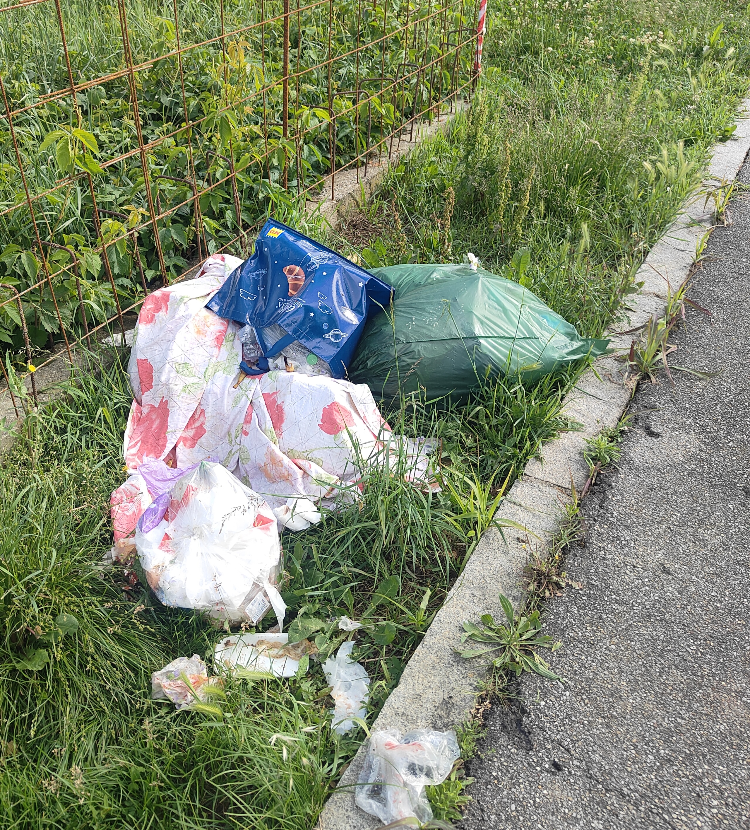 Immagine della segnalazione