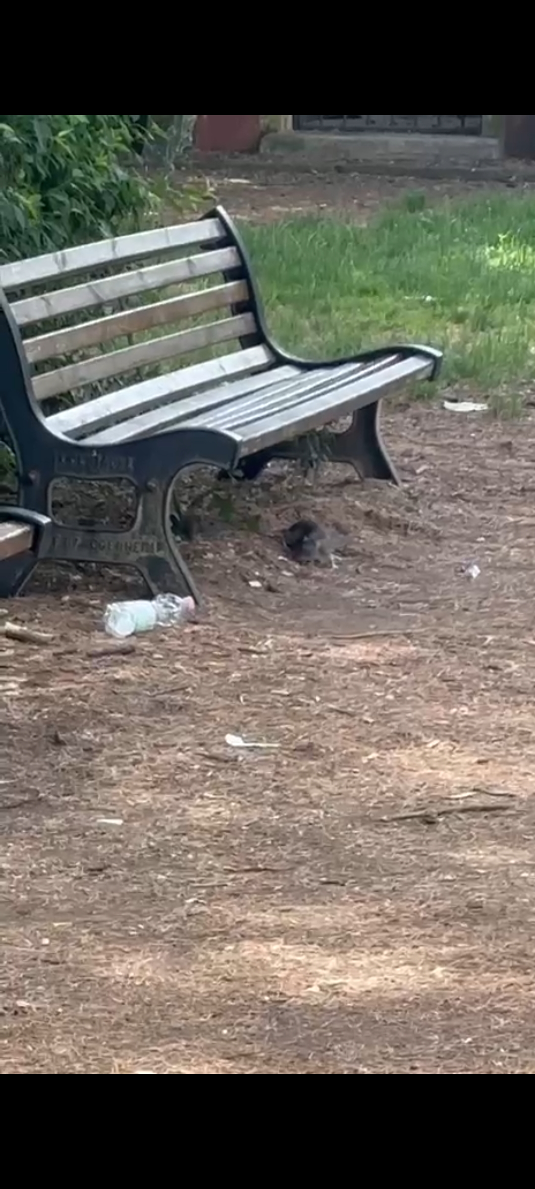 Immagine della segnalazione