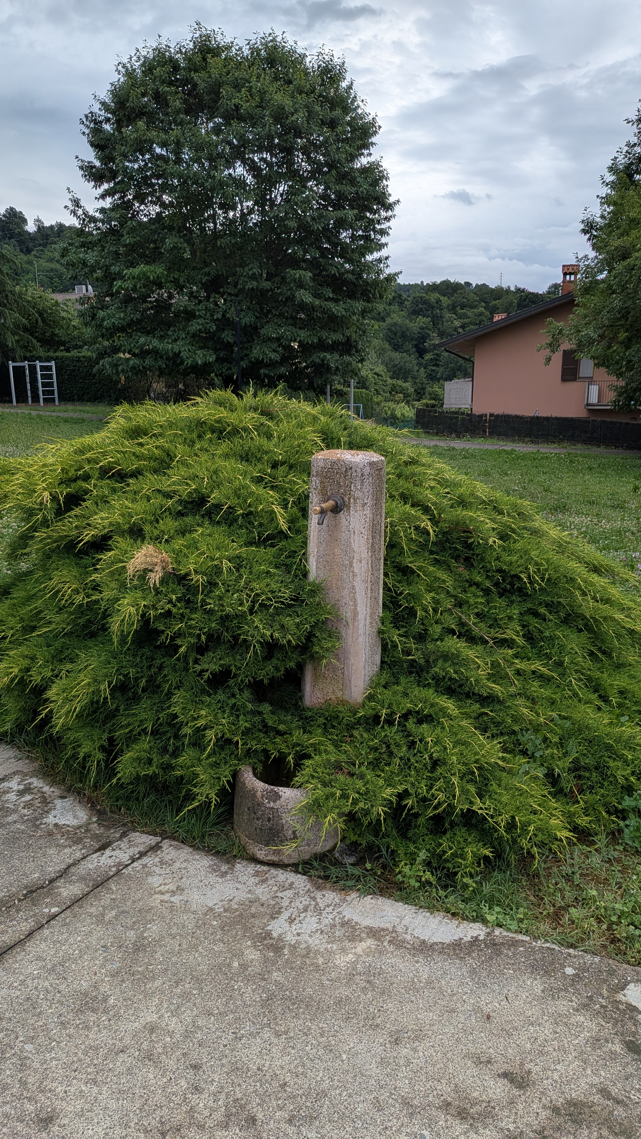 Immagine della segnalazione