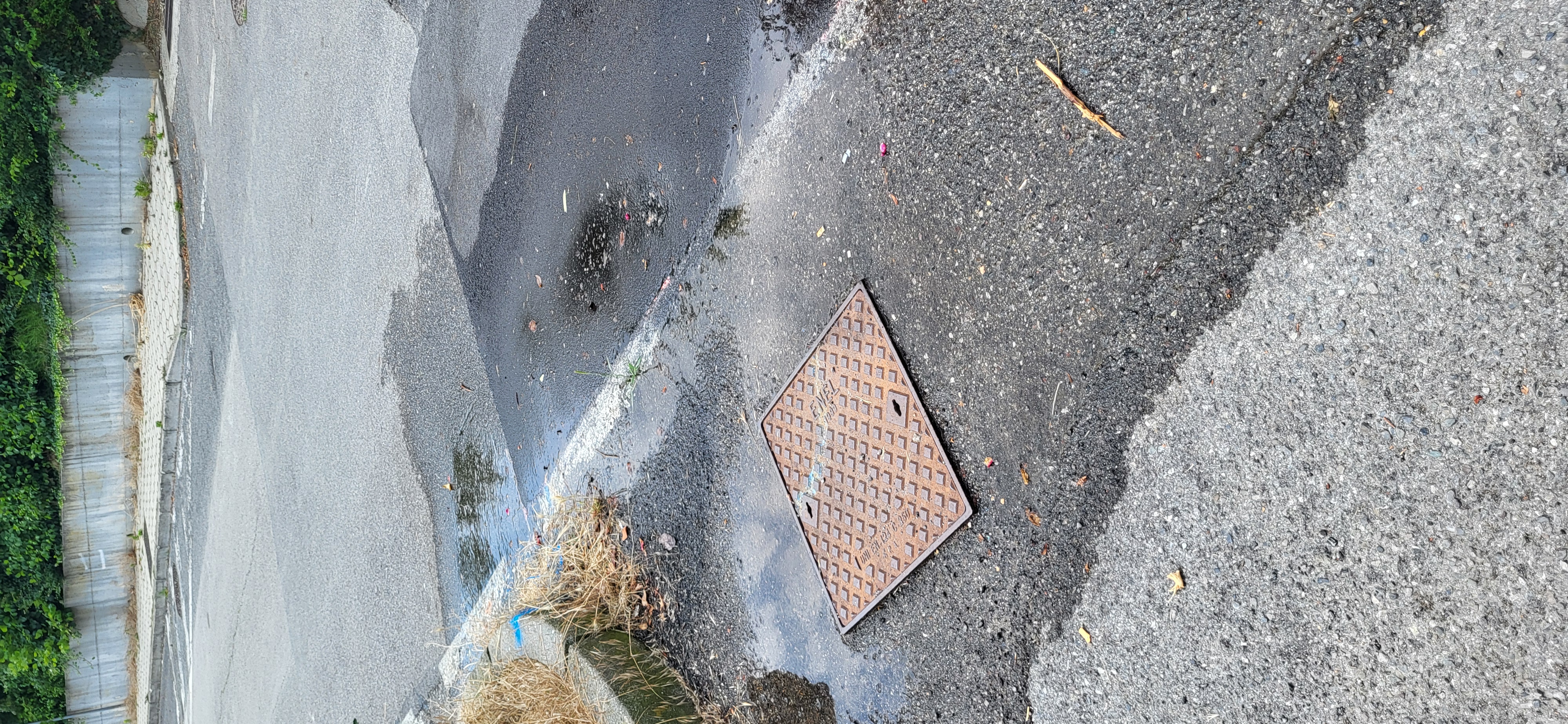 Immagine della segnalazione