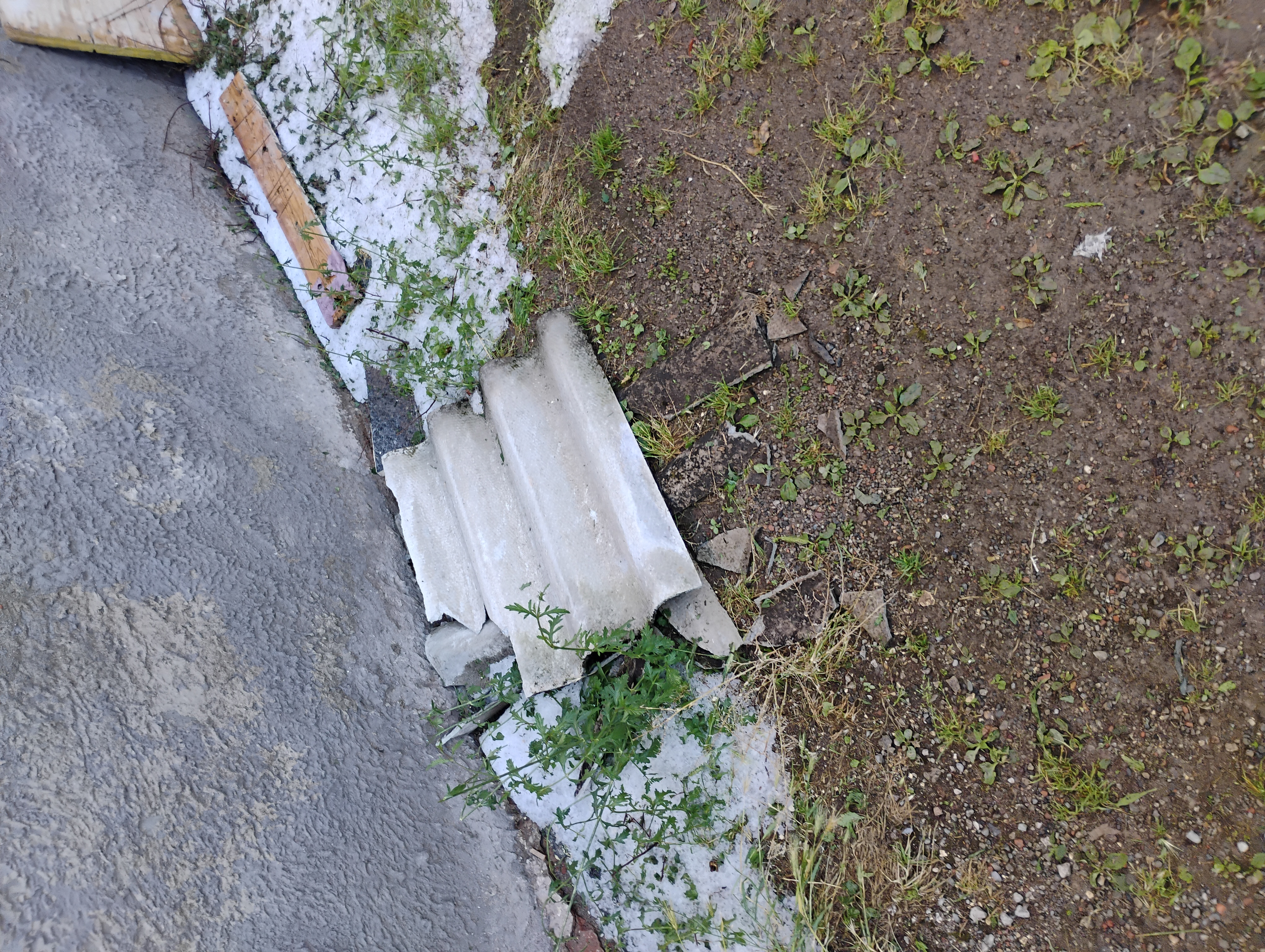 Immagine della segnalazione