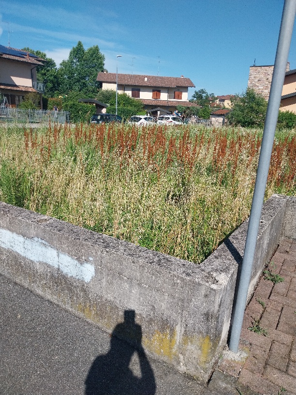 Immagine della segnalazione