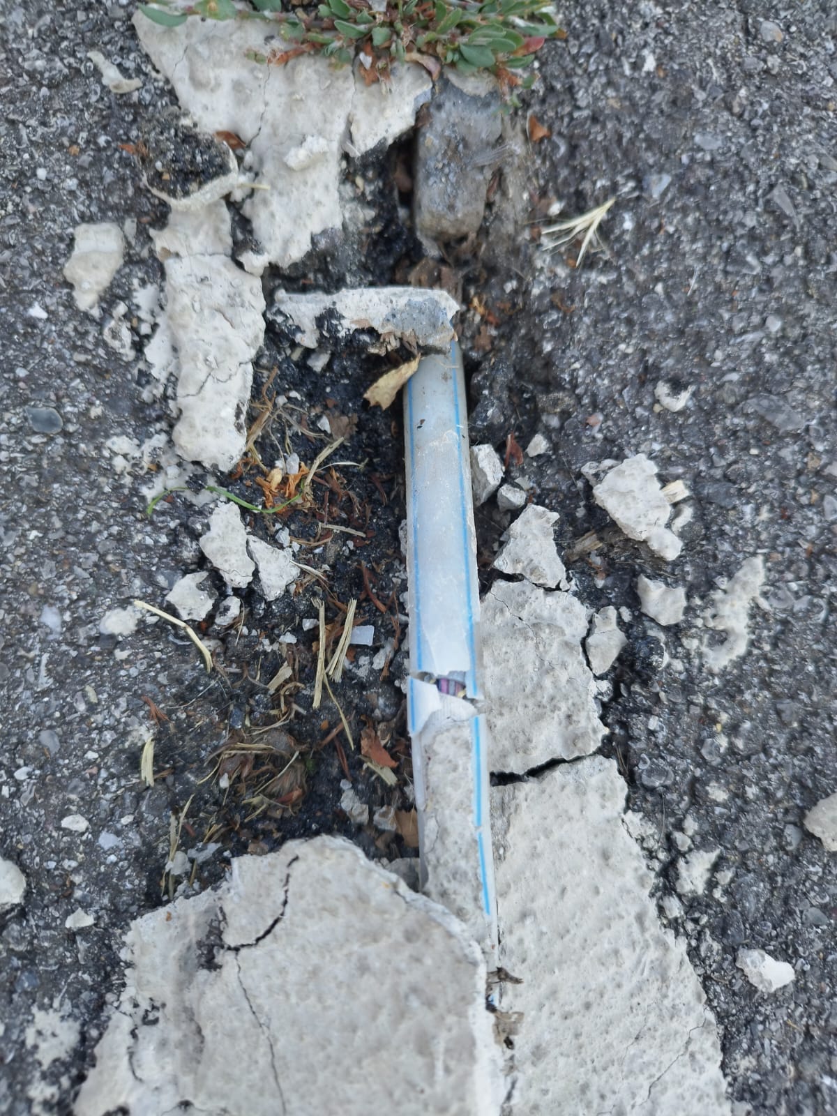 Immagine della segnalazione