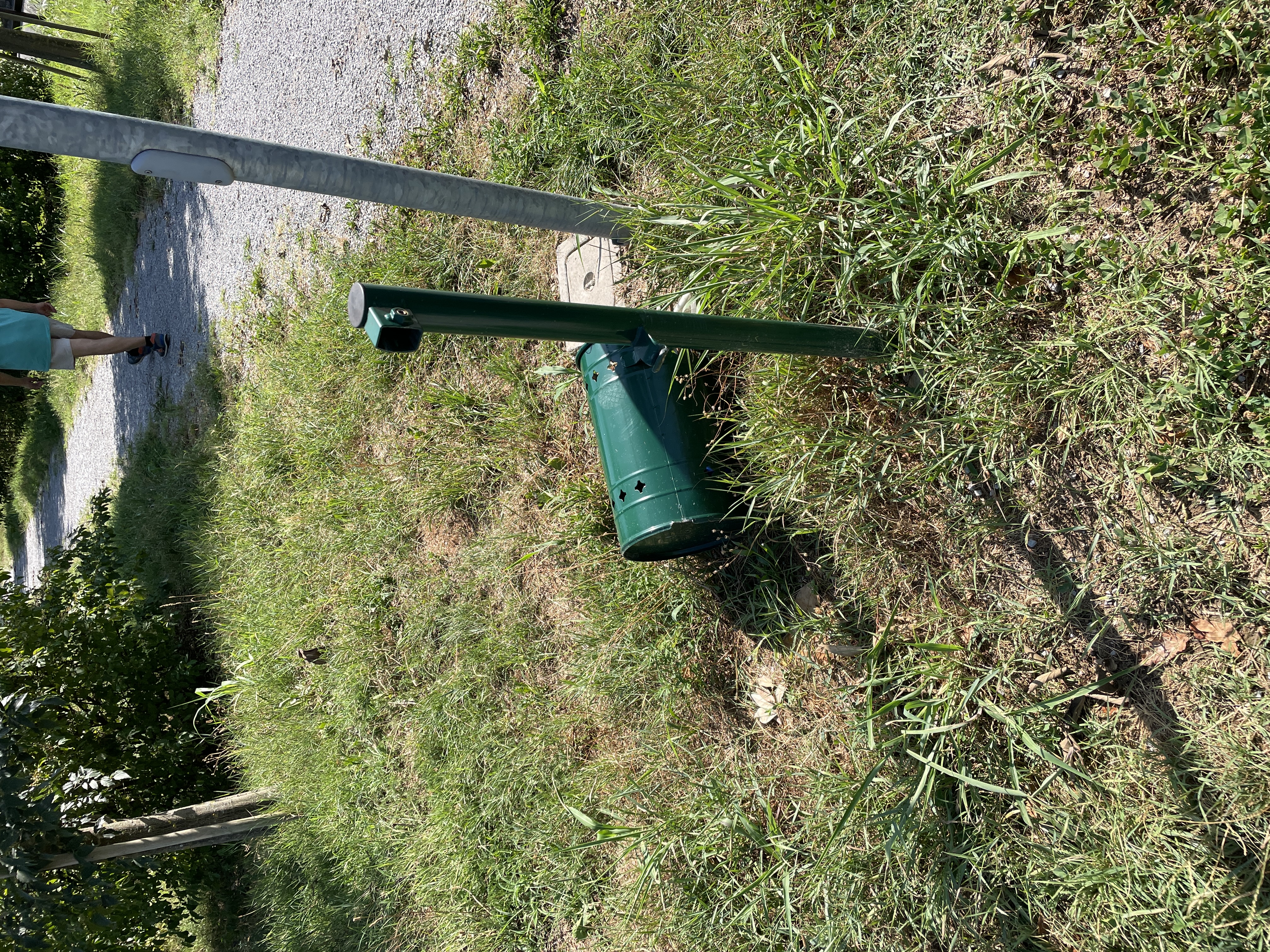 Immagine della segnalazione
