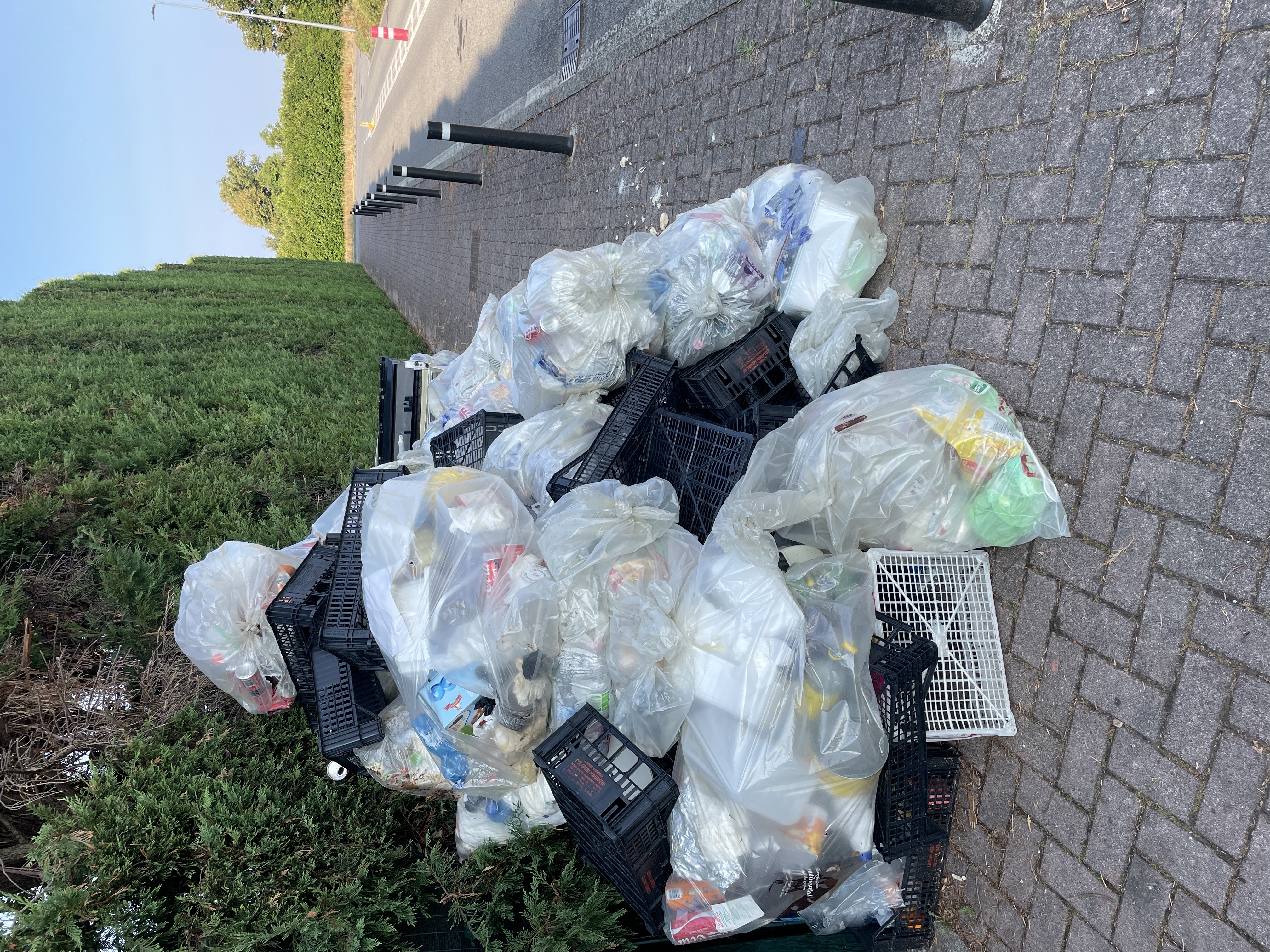 Immagine della segnalazione
