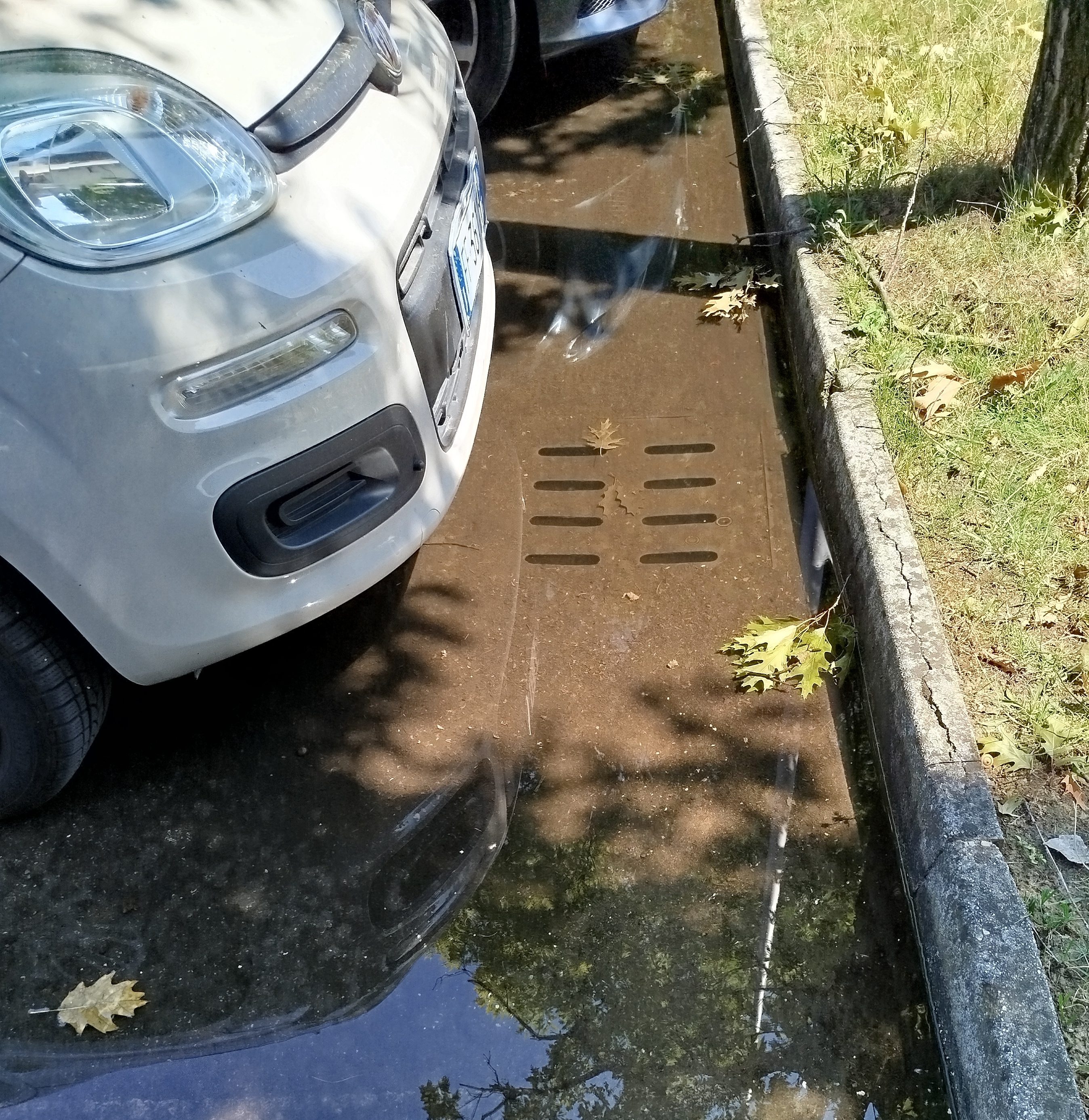 Immagine della segnalazione
