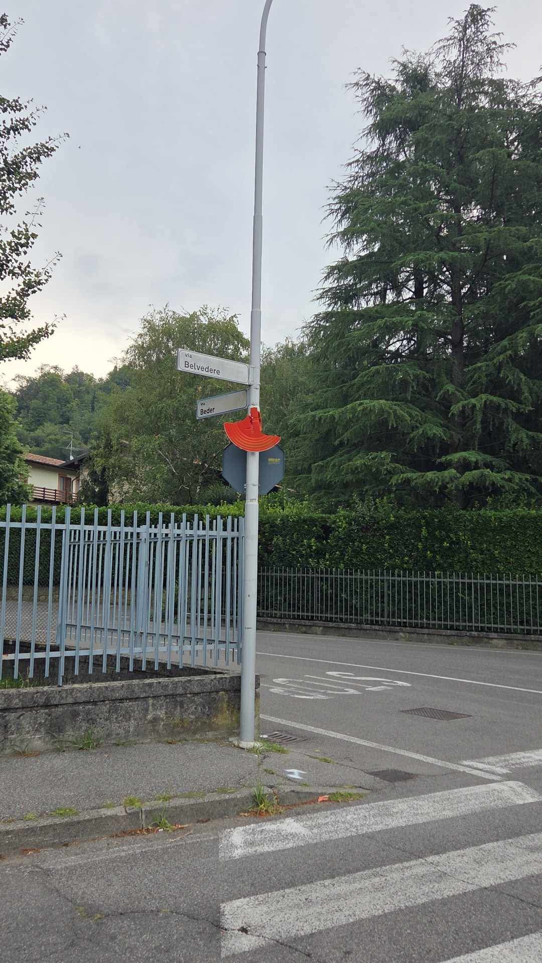 Immagine della segnalazione