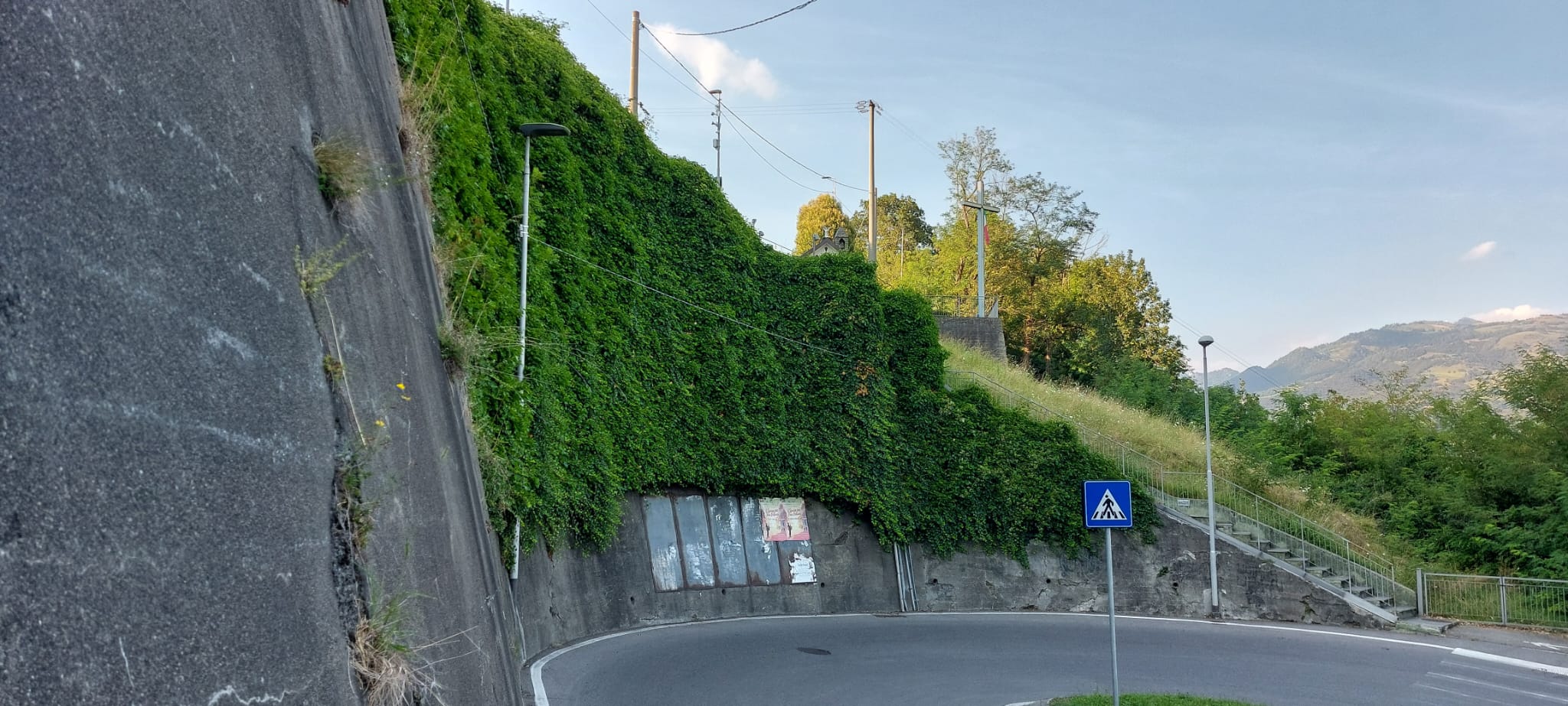 Immagine della segnalazione