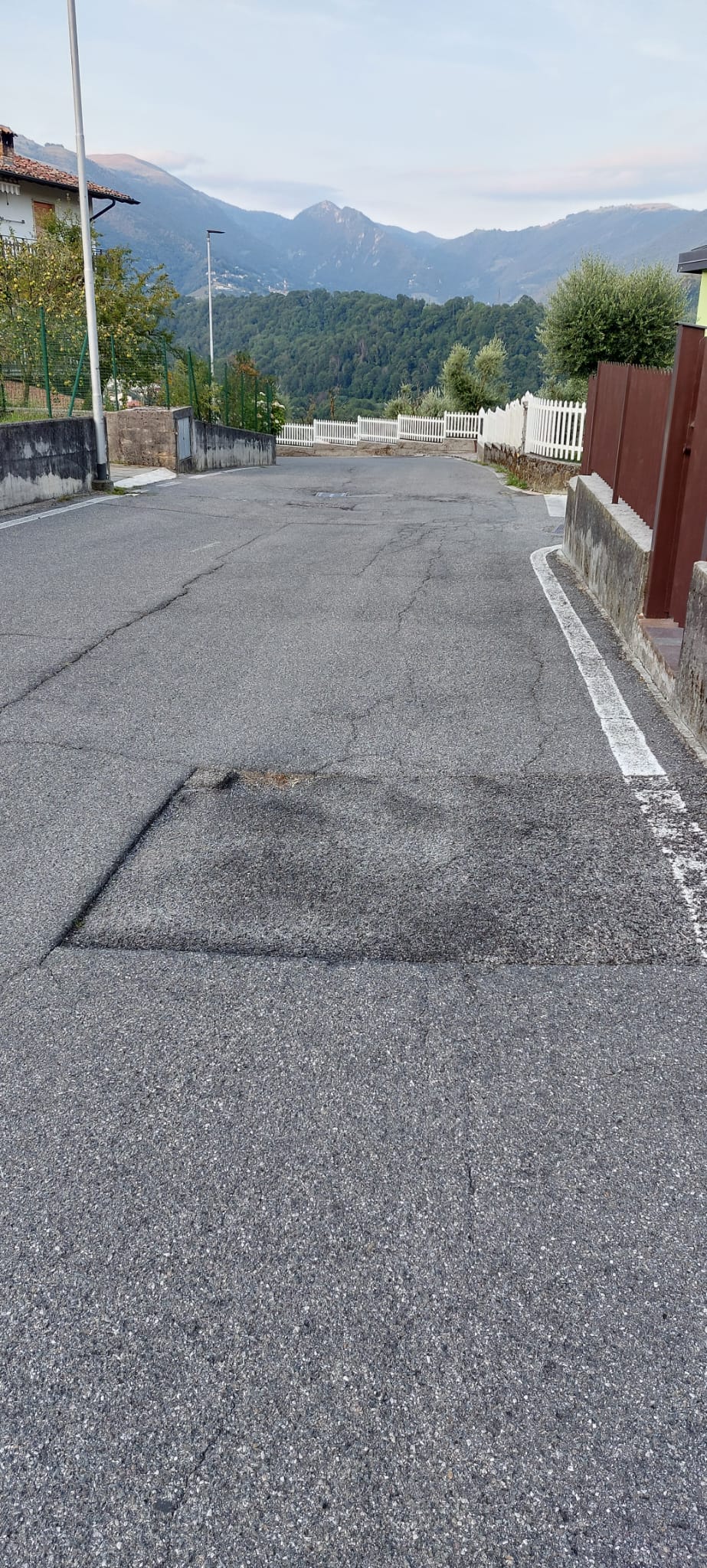 Immagine della segnalazione