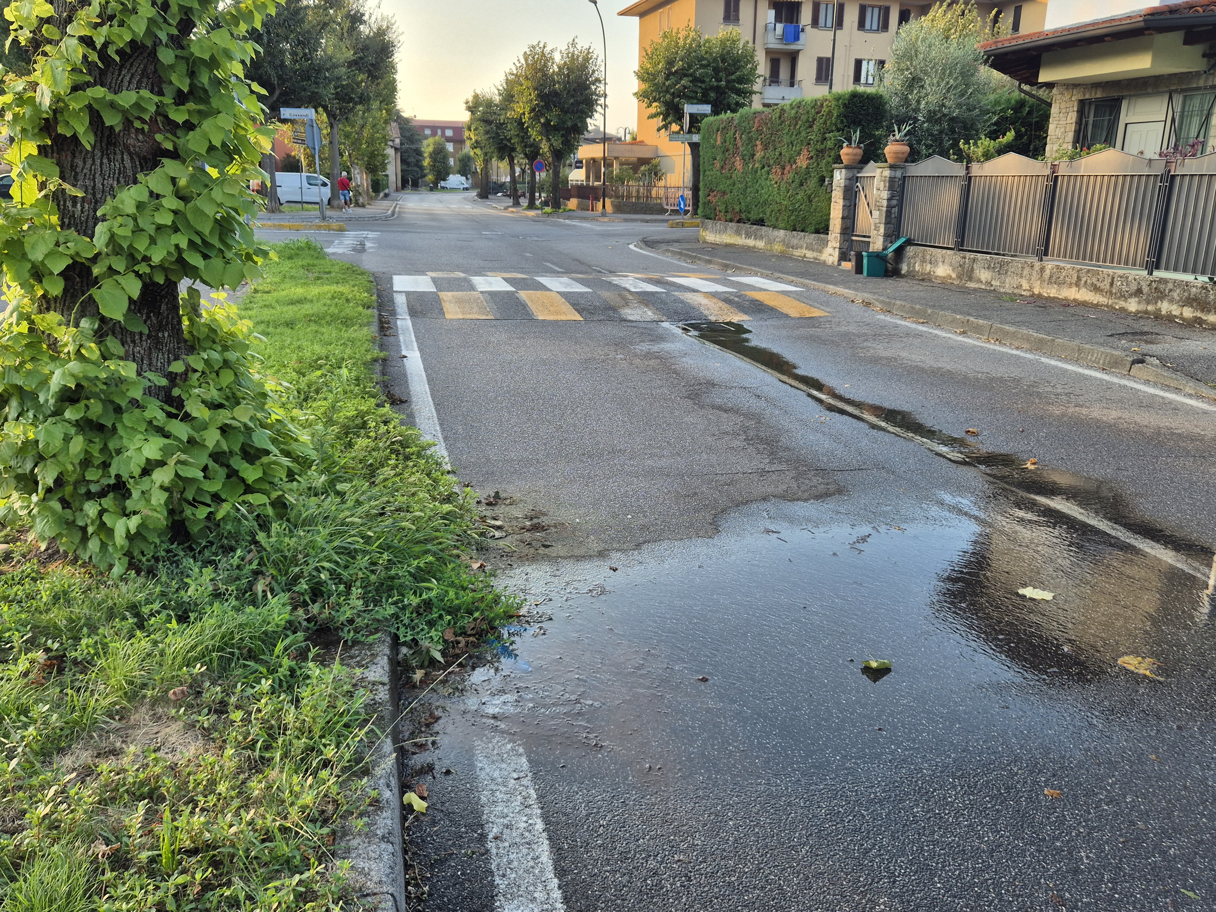 Immagine della segnalazione
