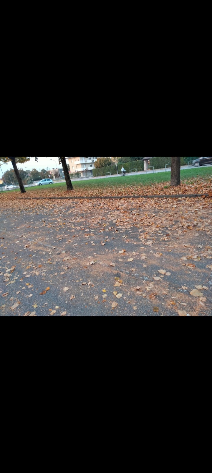 Immagine della segnalazione