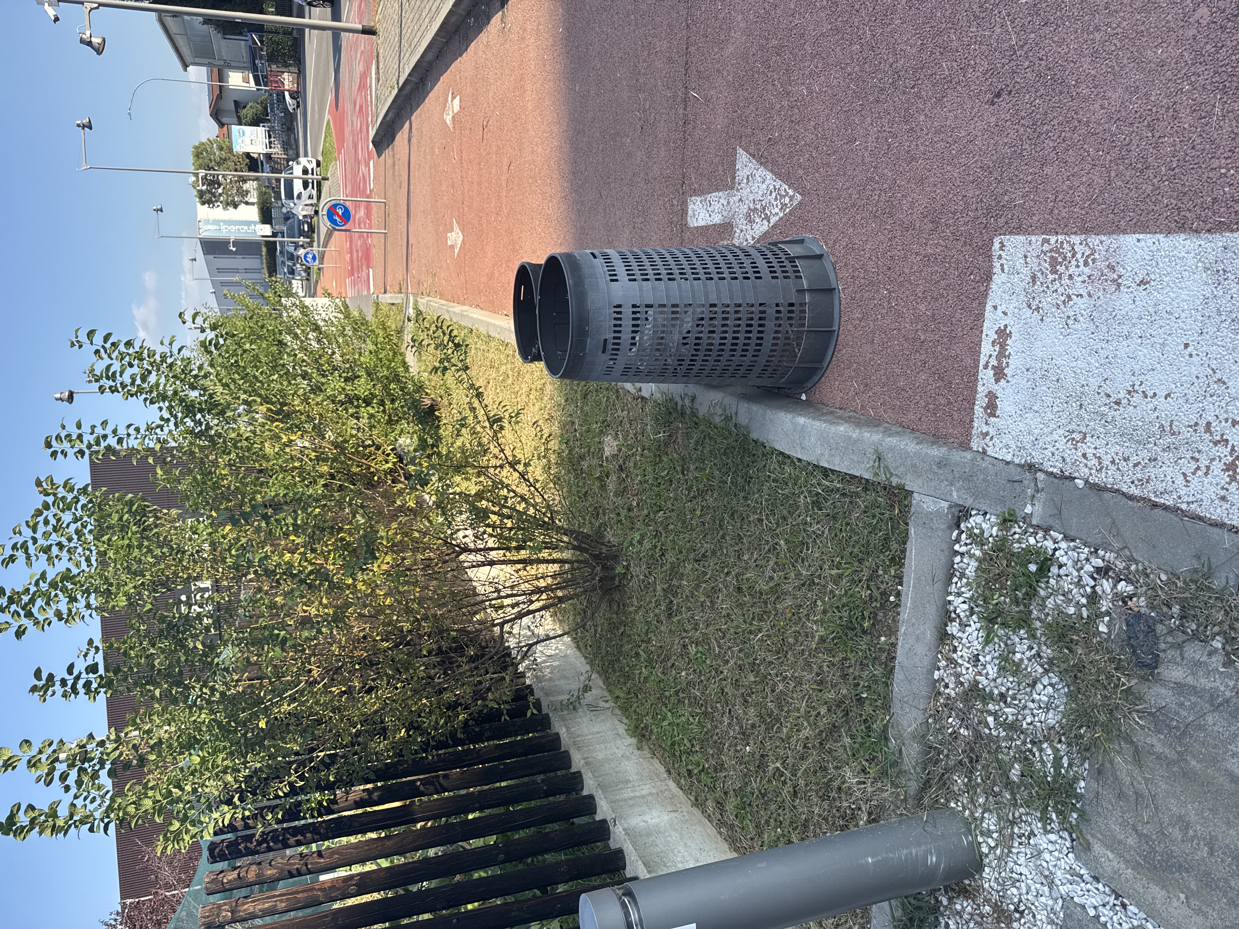 Immagine della segnalazione