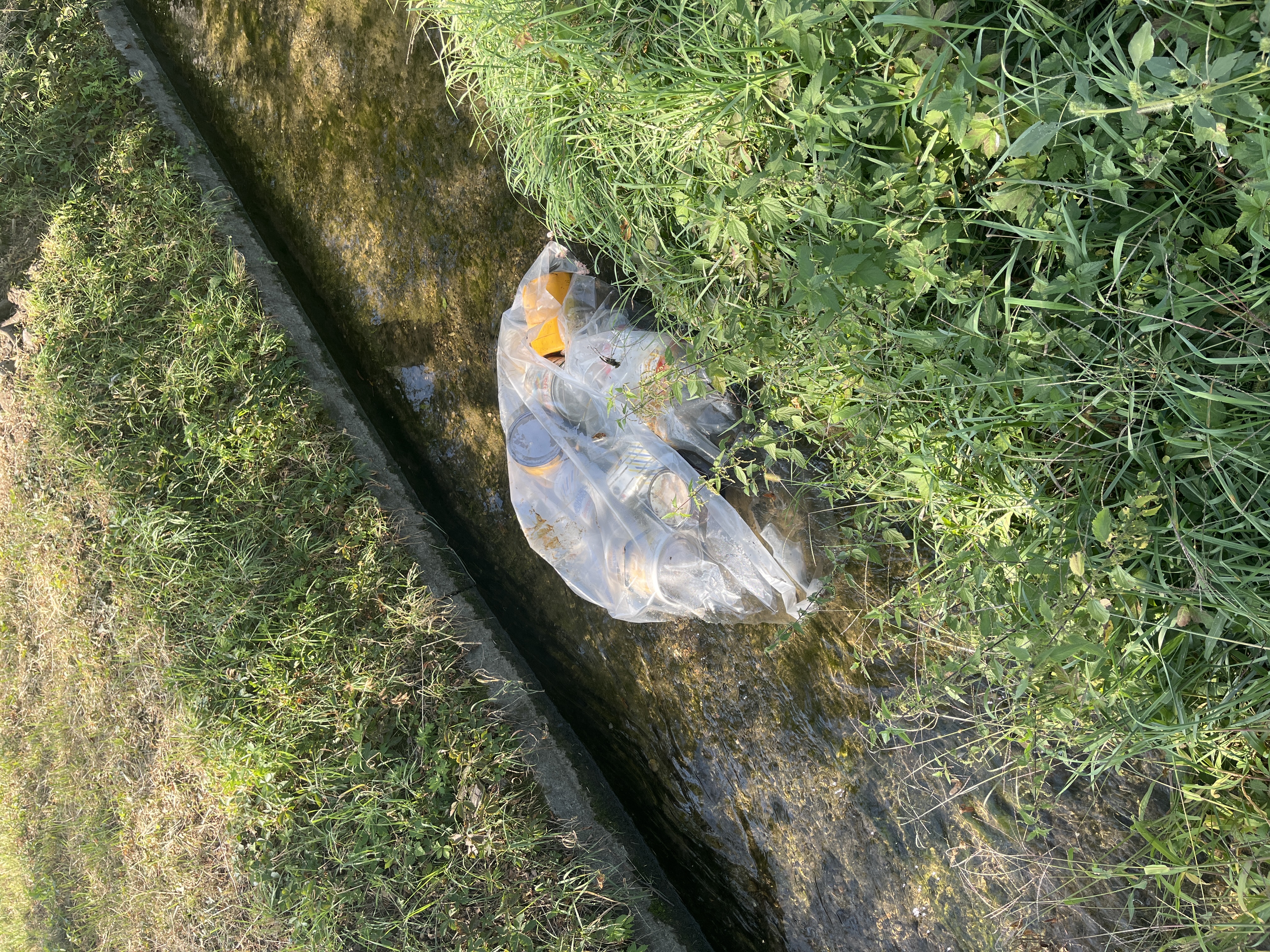 Immagine della segnalazione