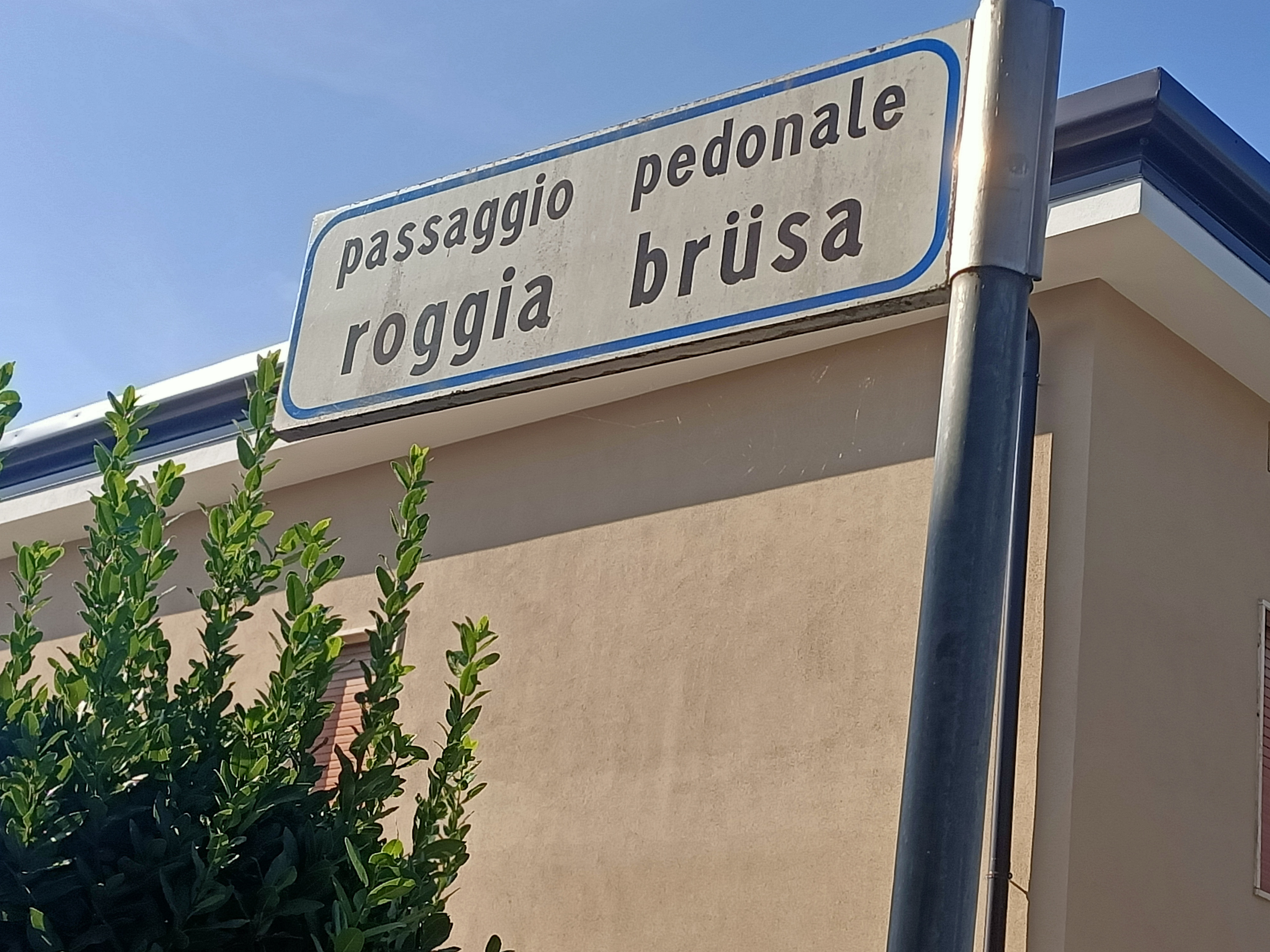 Immagine della segnalazione